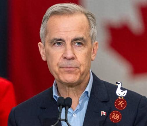 最新消息！加拿大总理宣布
11月14日，加拿大总理卡尼宣布 美国现下的关税政策，