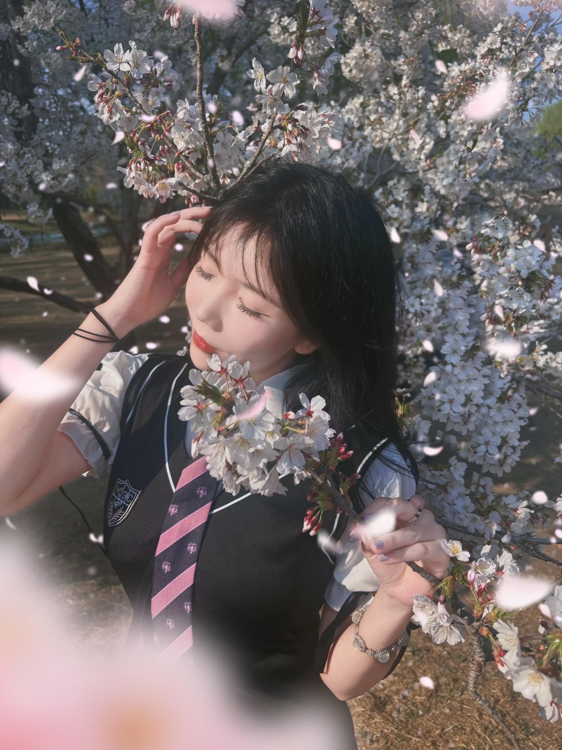 听 樱花落下的声音。