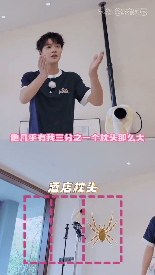 柯淳疑似被姐姐们报复一路繁花 看到柯淳的反应，姐姐们没有急着安慰，而是集体开启逗