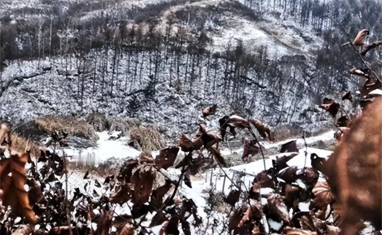 上世纪60年代，苏联空军在一次执行任务时，突然看到下面的一处山坡上，有9个赤身裸
