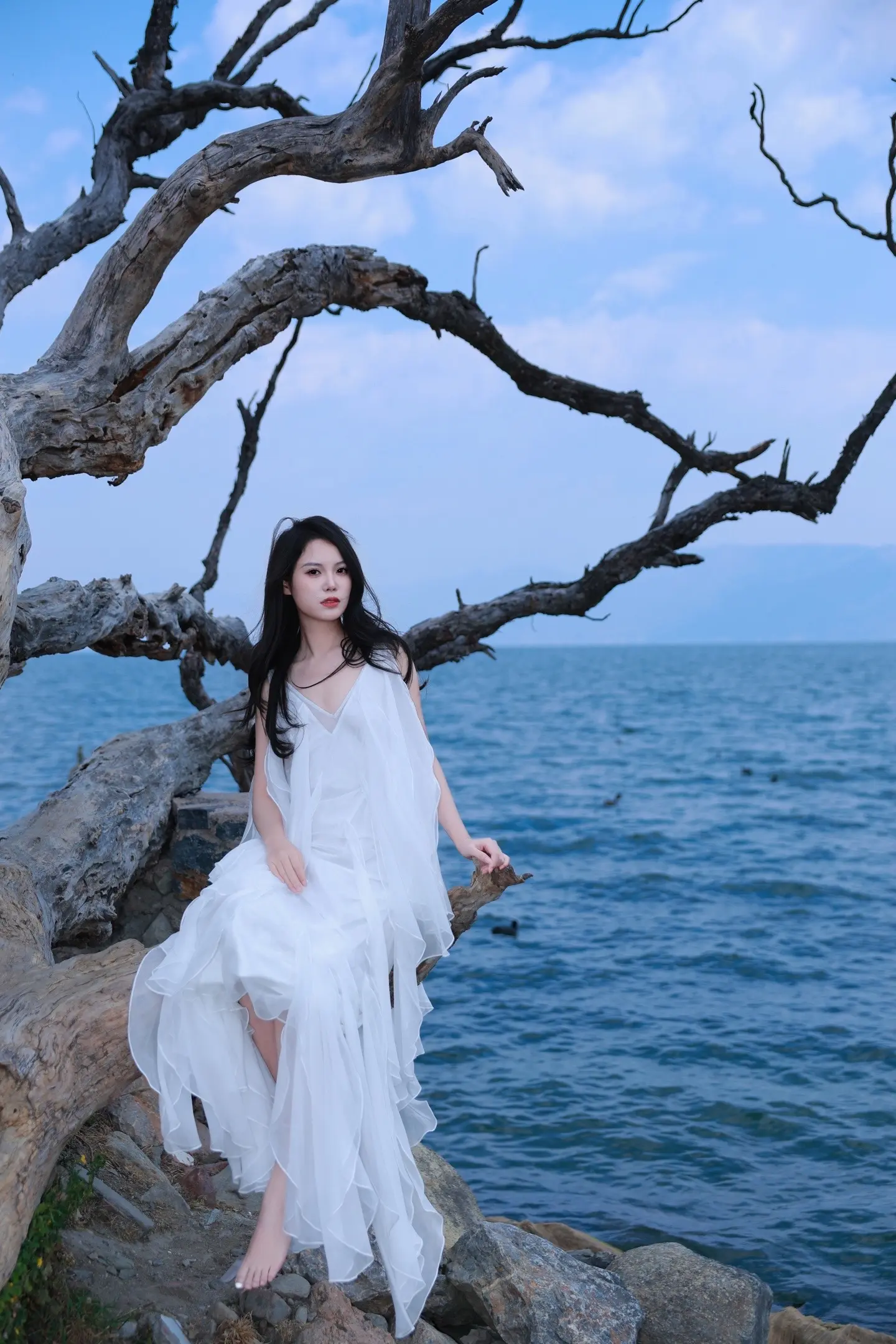 洱海畔的枯树，是时间写给大地的情诗