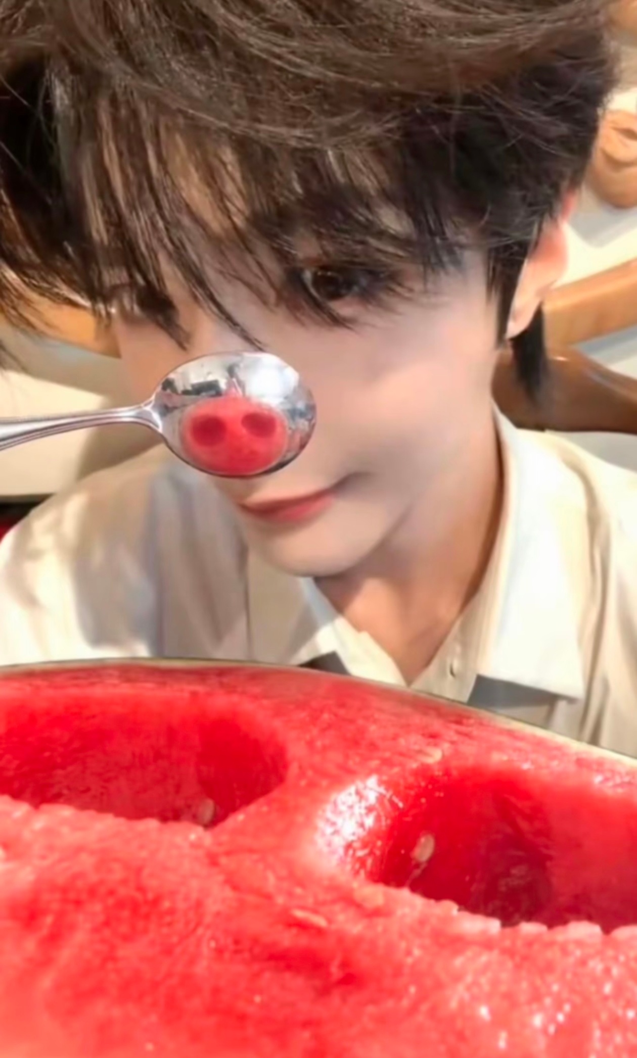 想念两只小猪🥺 