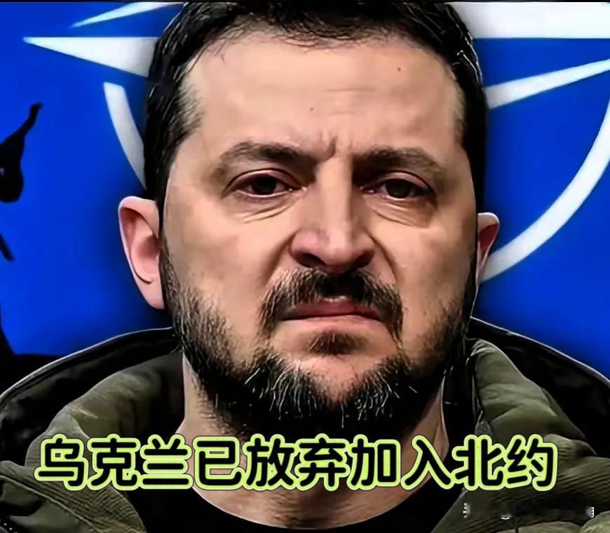 欧美压根不想接乌克兰现在这个烫手山芋，特朗普更是直言其入约无门，乌克兰只有自动退