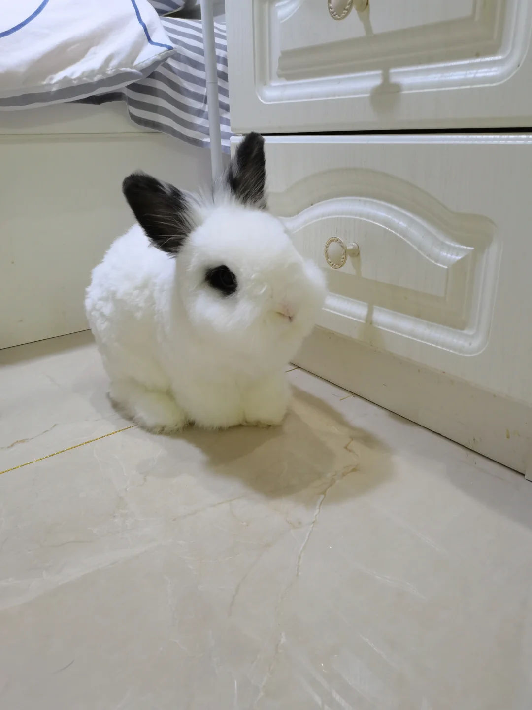 小宝：让我看看今天咬点什么好呢～