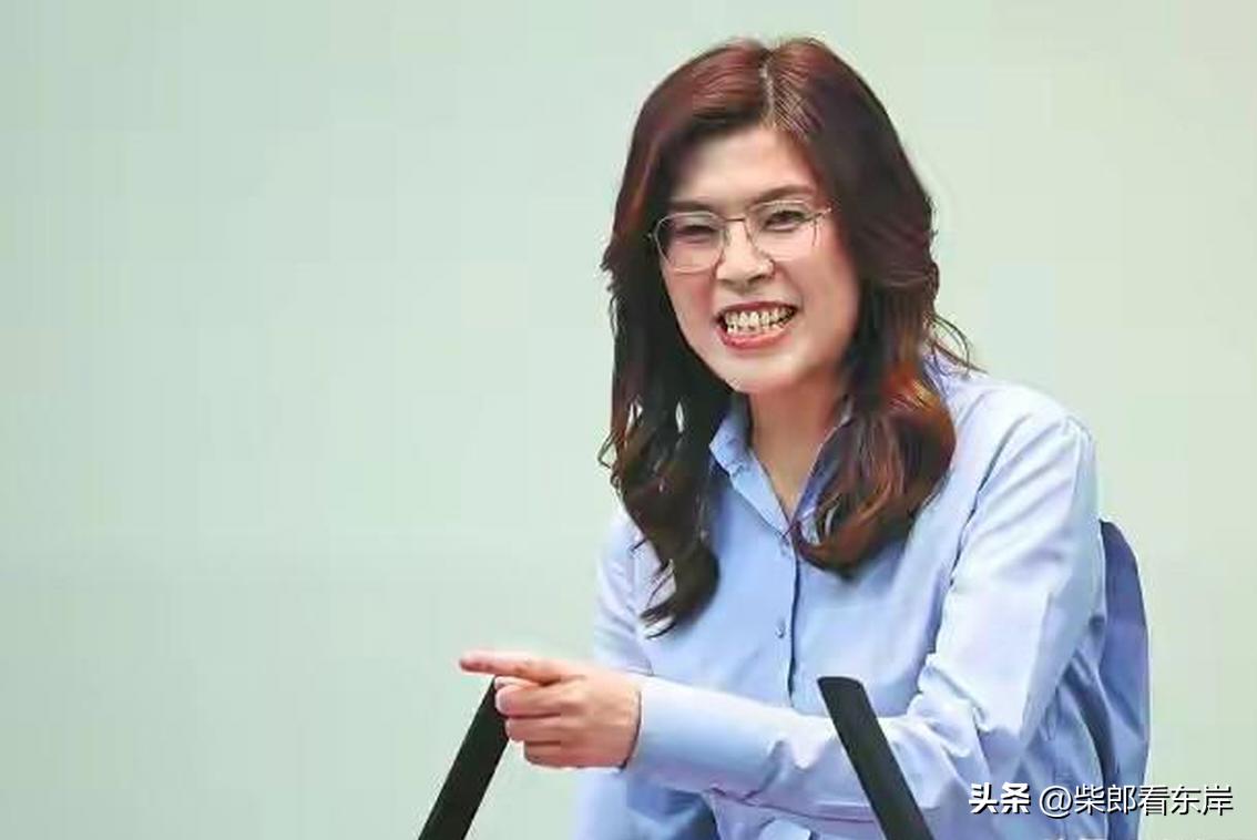 郑丽文喊话称台湾不再是小媳妇，也不是桌上的菜单，更不是筹码跟棋子

刚刚借假设性