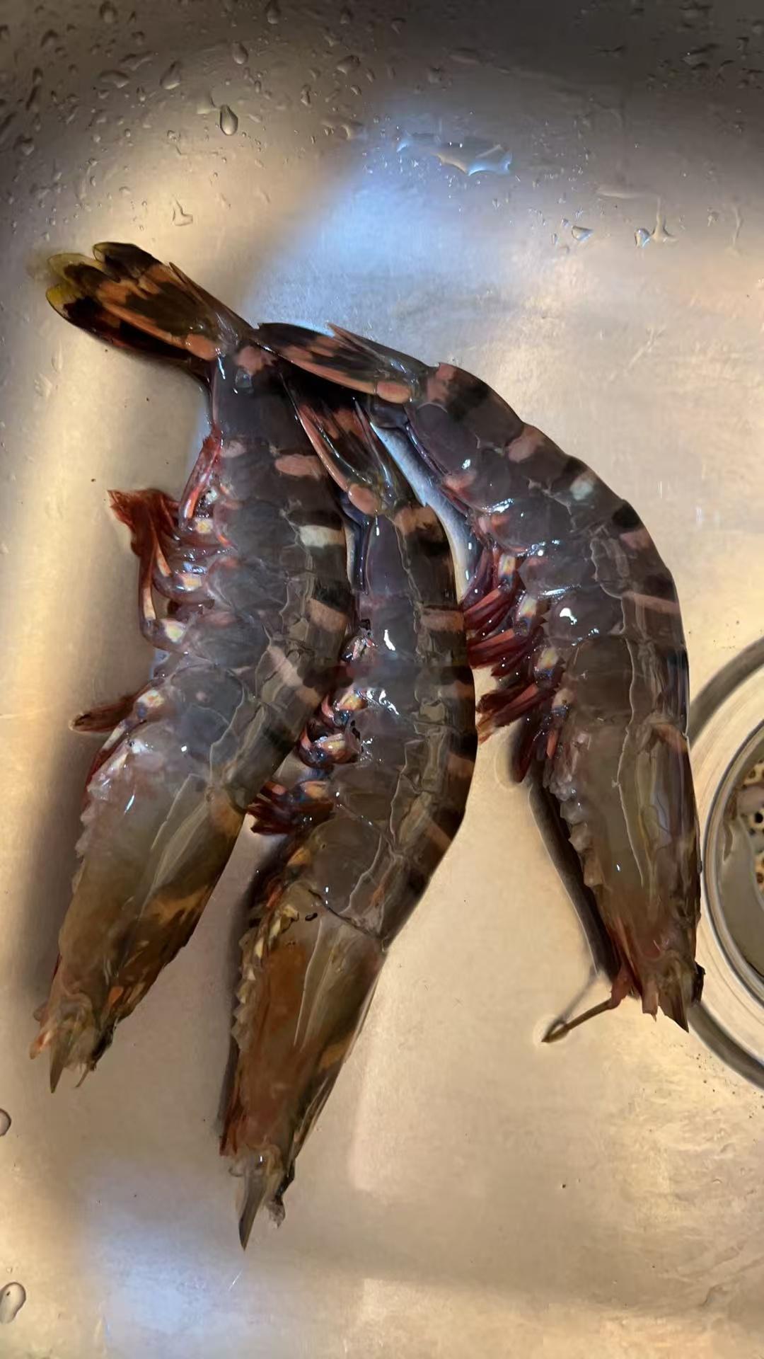 68块三只虾🦐这…真不敢多吃 ​​​