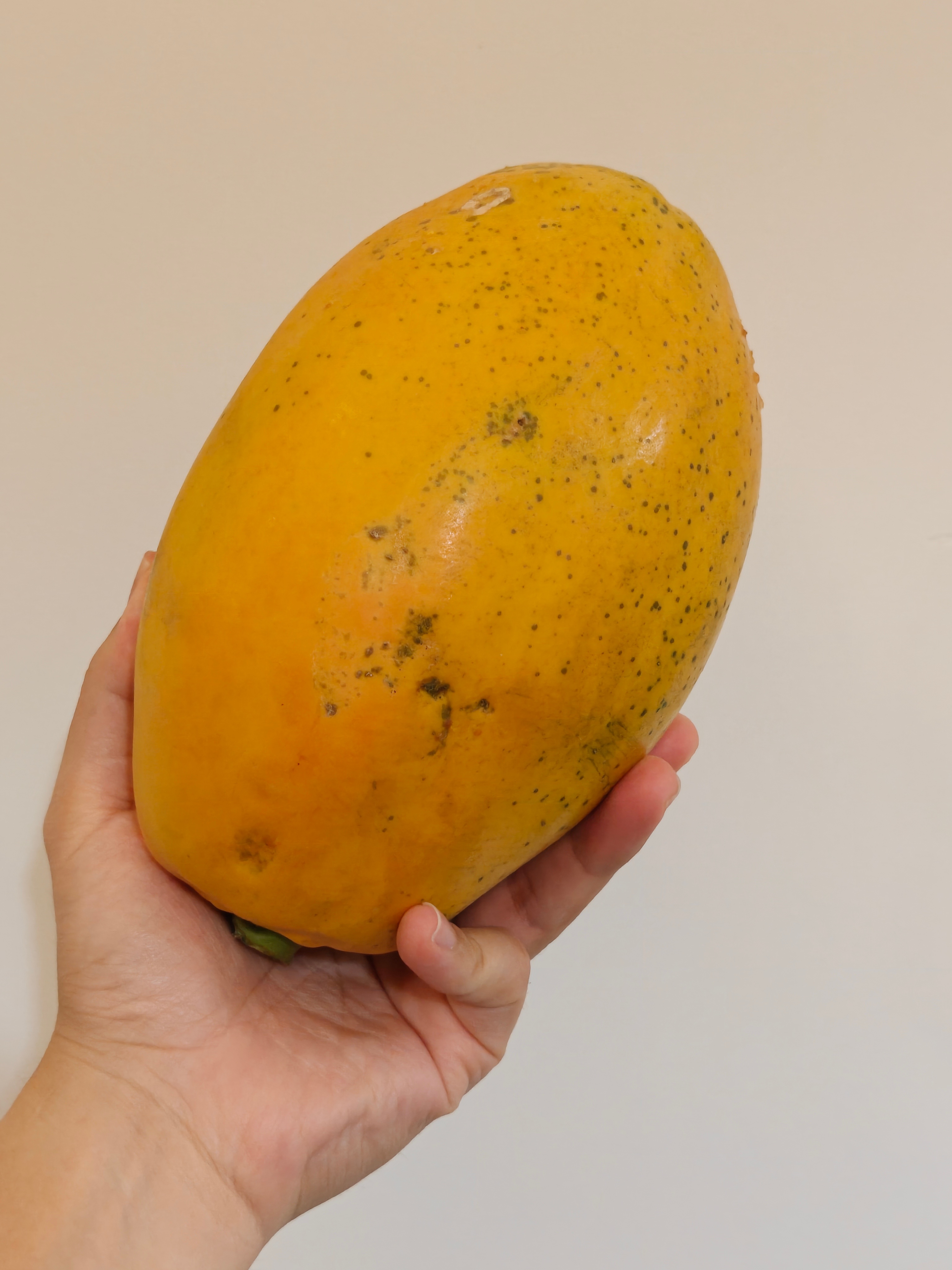 我宣布，今晚吃它，前天它还没这么黄，这会儿一点儿绿都没了  看小图像不像芒果？ 