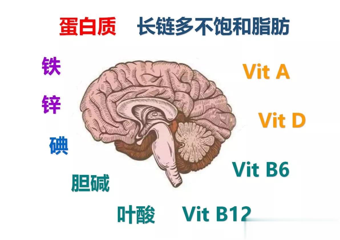 #三岁以前的大脑每天都在干什么##宝贝健康守护计划#📌 生命早期1000天内的