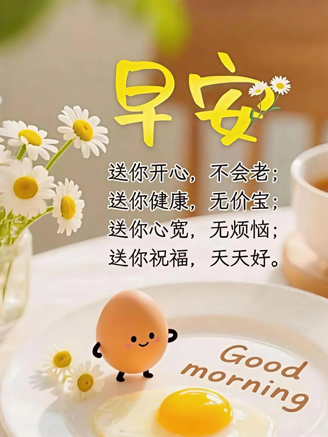 🌹每天都有问候，或早或晚，💐但不变的是真诚祝福！💝感谢缘分，感恩相识，🍁