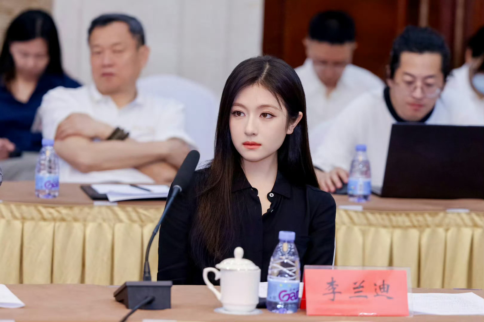 李兰迪参加一次研讨会我就会求一次高干文剧本，太有气质了！ 