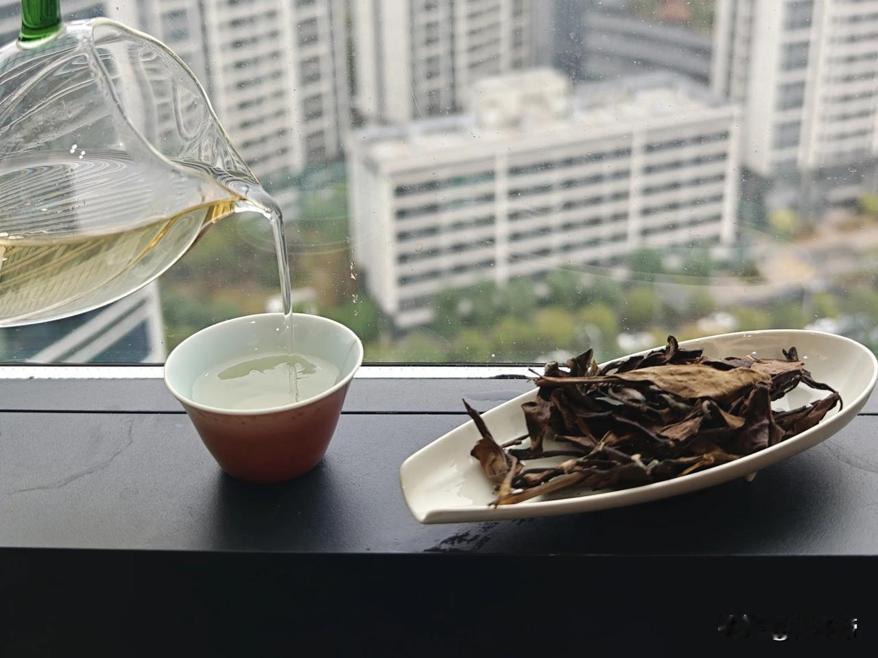 早茶品鉴🍵15年陈的政和百年老丛寿眉

今日份早茶，翻出一泡政和百年老丛寿眉。