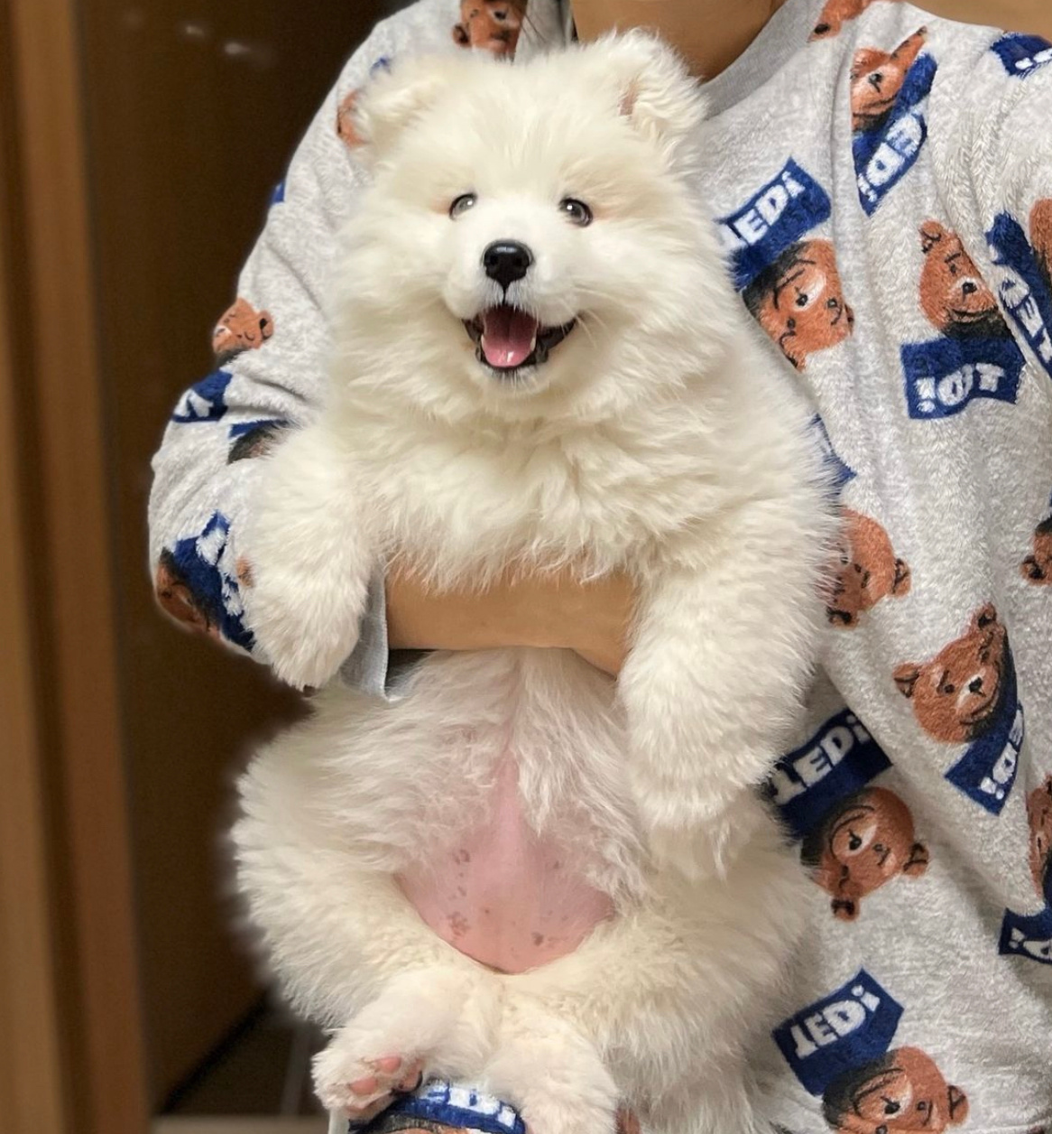 我要睡觉咯！晚安耶 