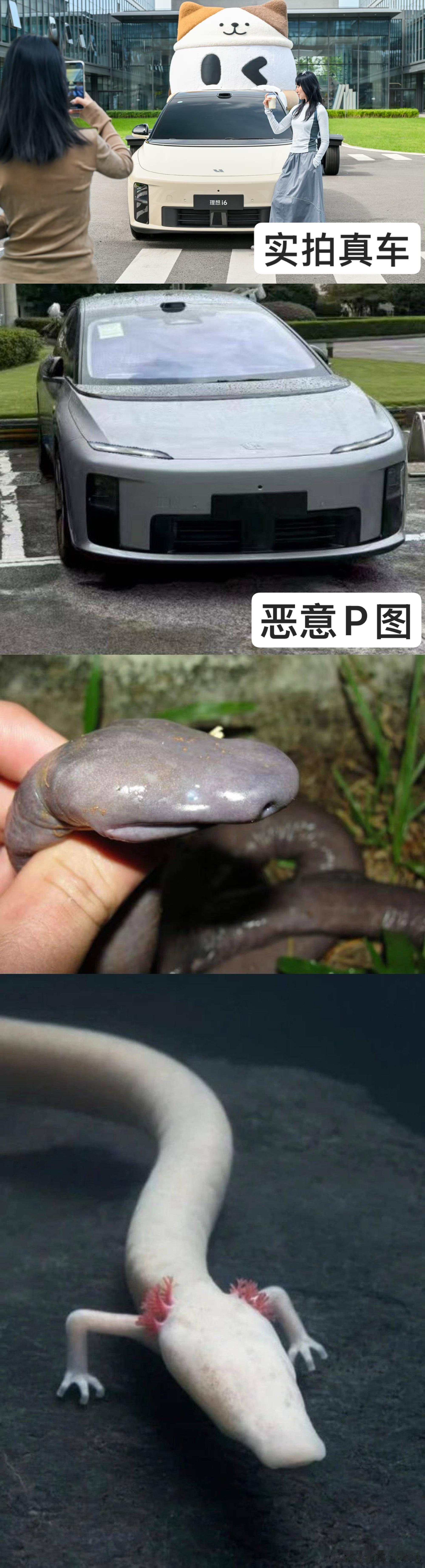 现在有些人真的太坏了，用一张恶意P的图来试图引导舆论。就想把理想i6带进沟里。请