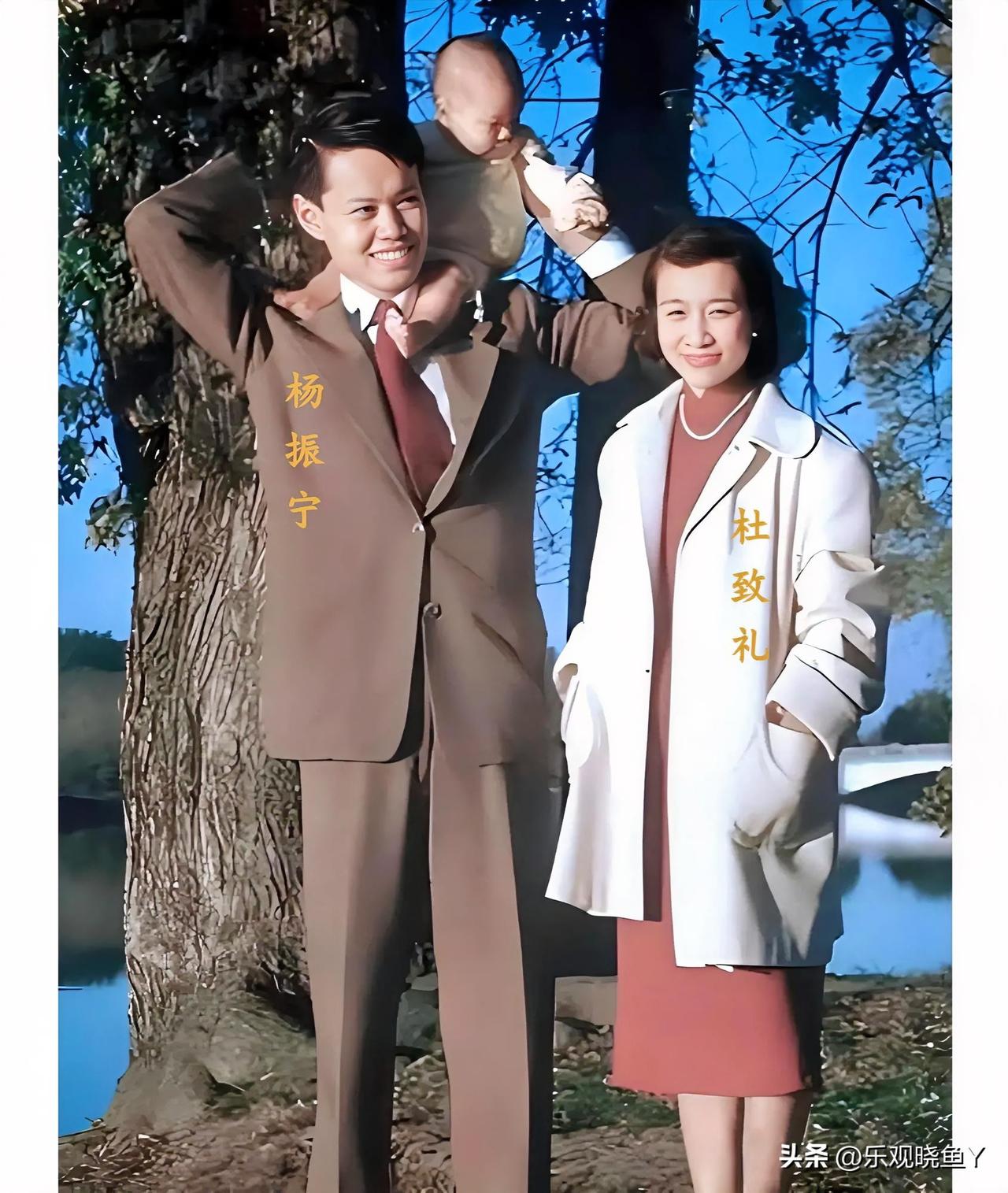 上世纪50年代初，美国，杨振宁一家三口的全家福，他的妻子杜致礼美丽动人，儿子杨光