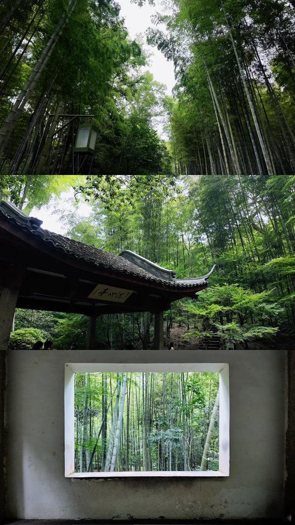 杭州再见 