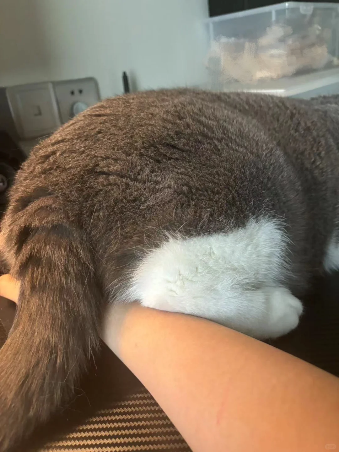 我请问呢？