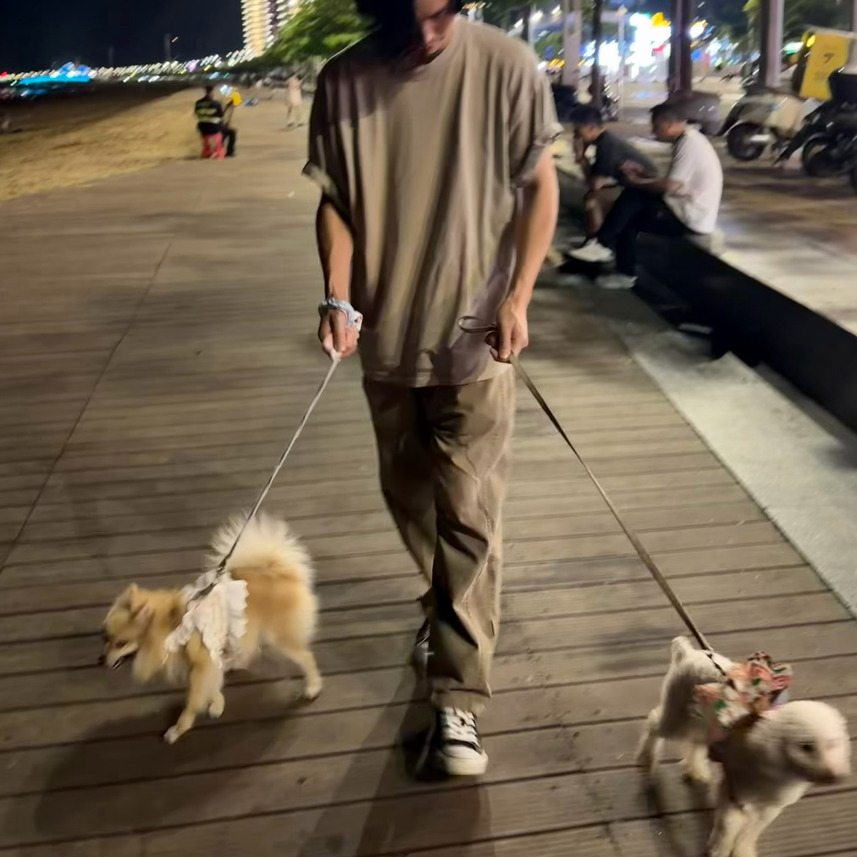 太好笑了，因为吸吸实在是太胆小了。为了让她训练一下胆子。许多鱼突发奇想，去问别人