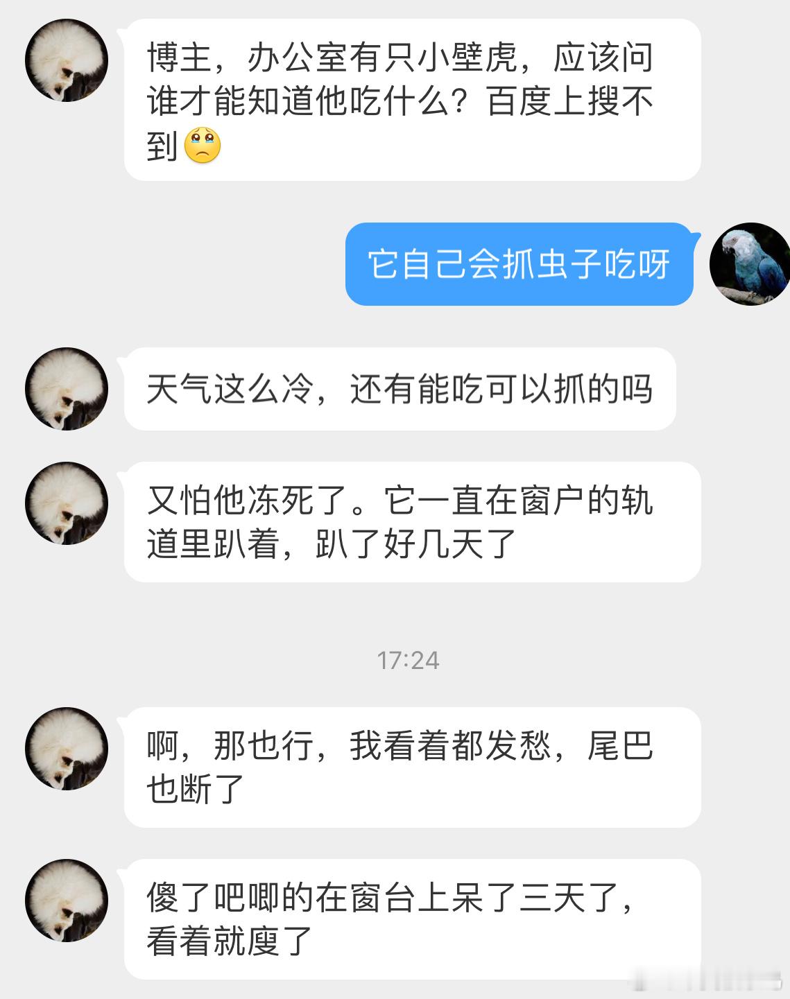 业务拓展系列[淡淡的]小壁虎一只！好迷你啊 