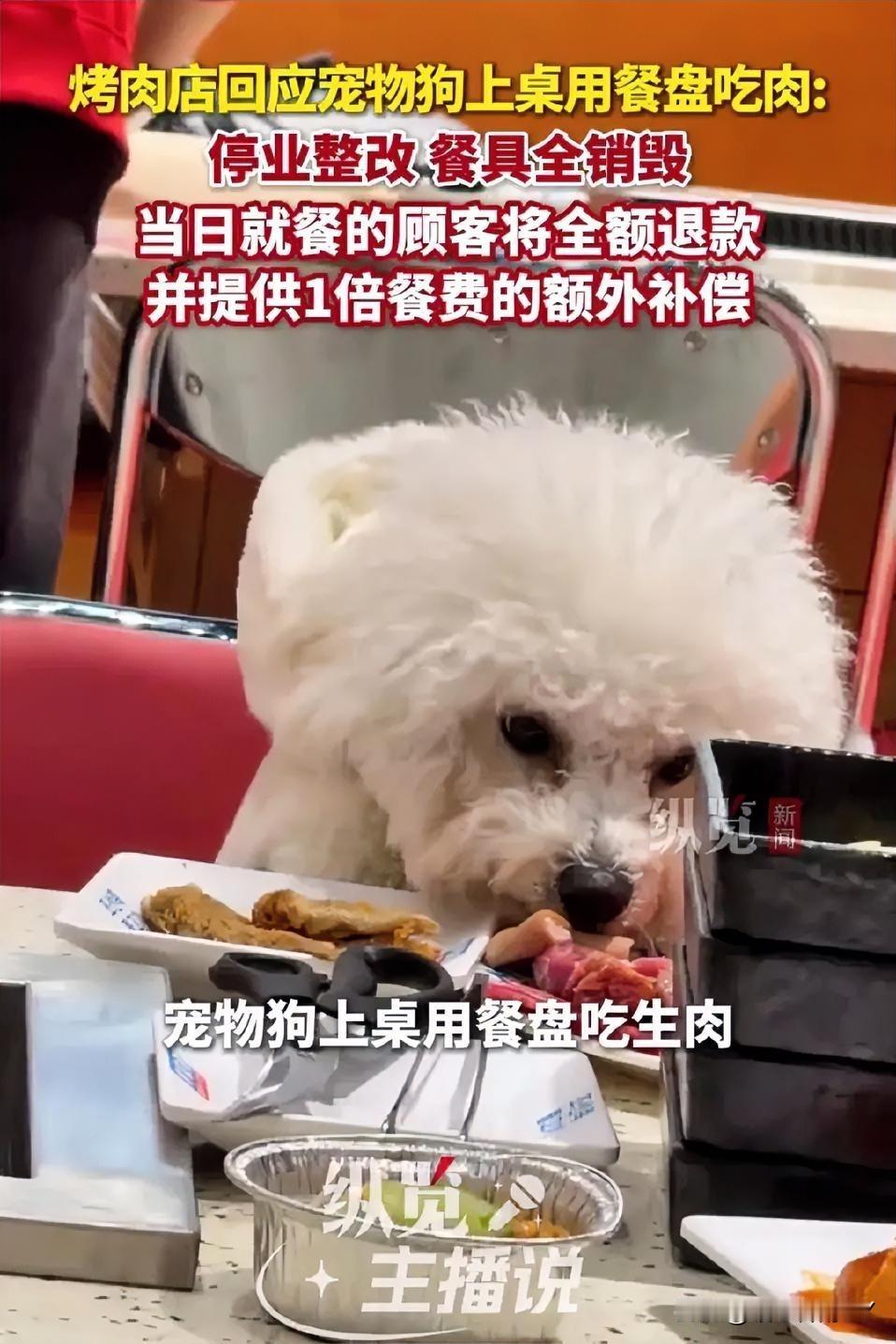 安徽合肥一家烤肉店，宠物狗上桌啃肉，导致店铺停业并全额退款，这事真不冤。

咱们