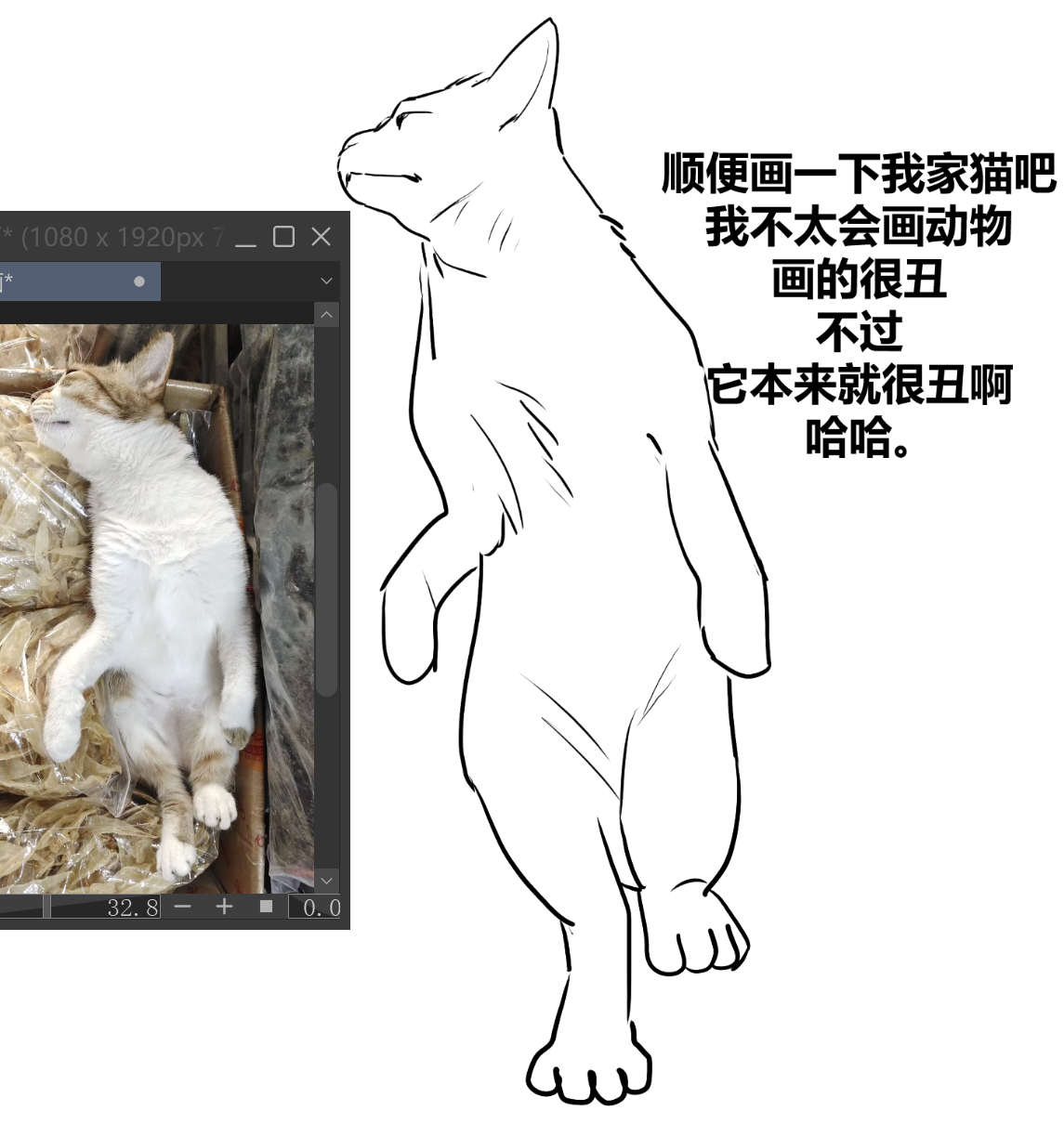 分享图片 ​​​
