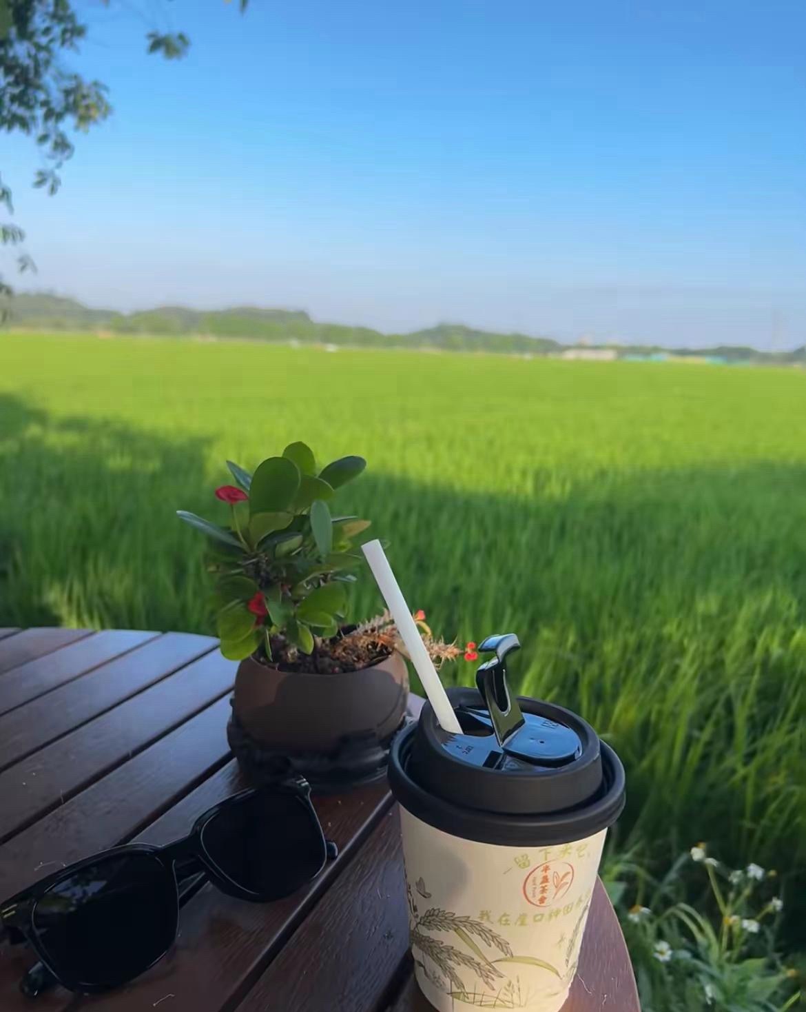 不说了，等下你们又觉得我说教，其实我不爱讲这些，你们混的怎么样关我底事？ 