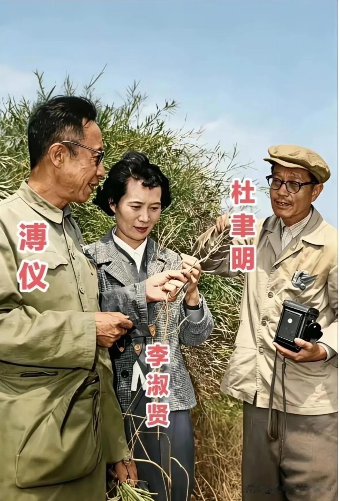 图片中这几位人物分别是，末代皇帝溥仪和他的妻子李淑贤以及杜聿明。

从图片中可以
