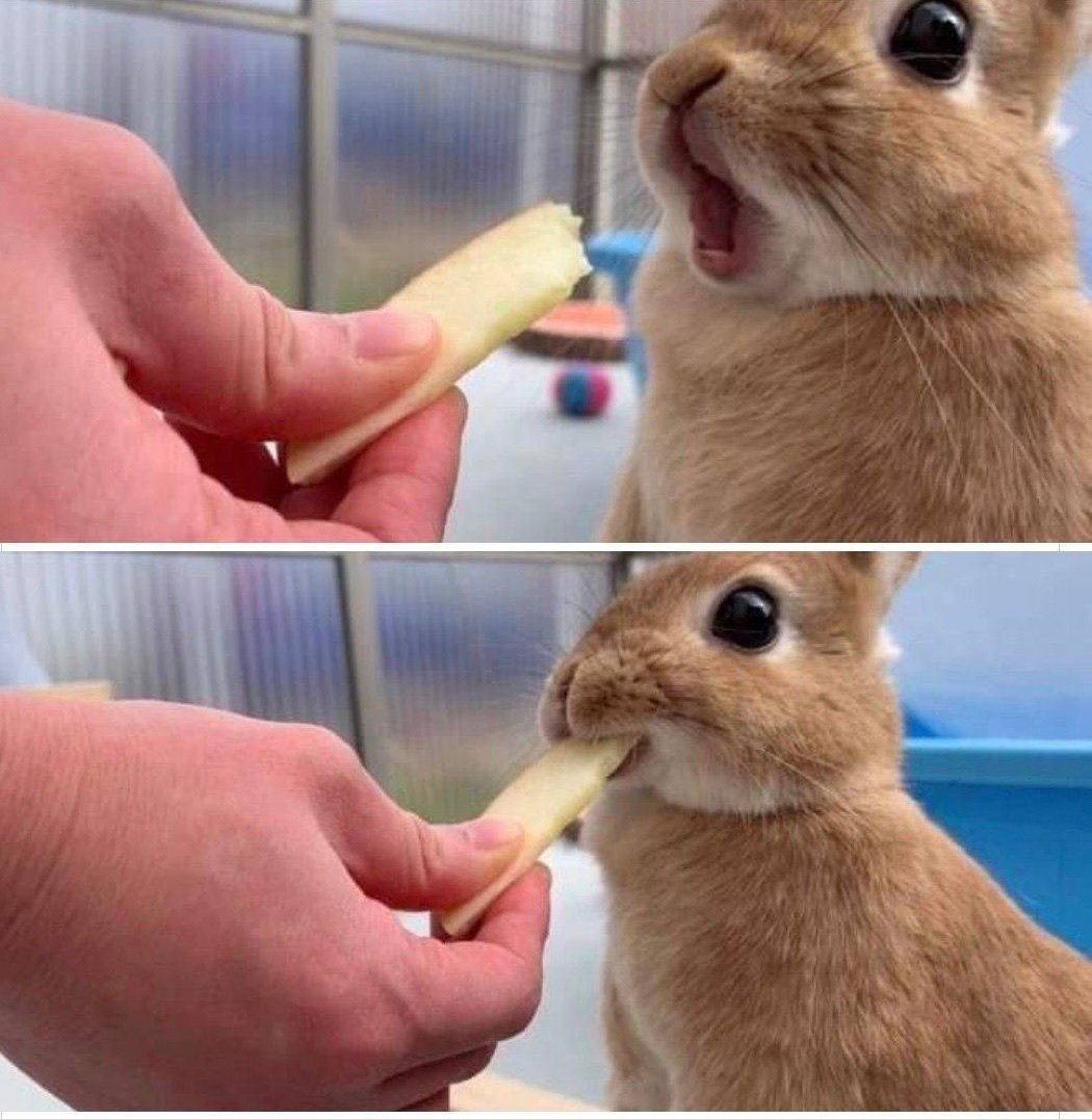 ( ˶ˆ⤙ˆ˵ )🥄 