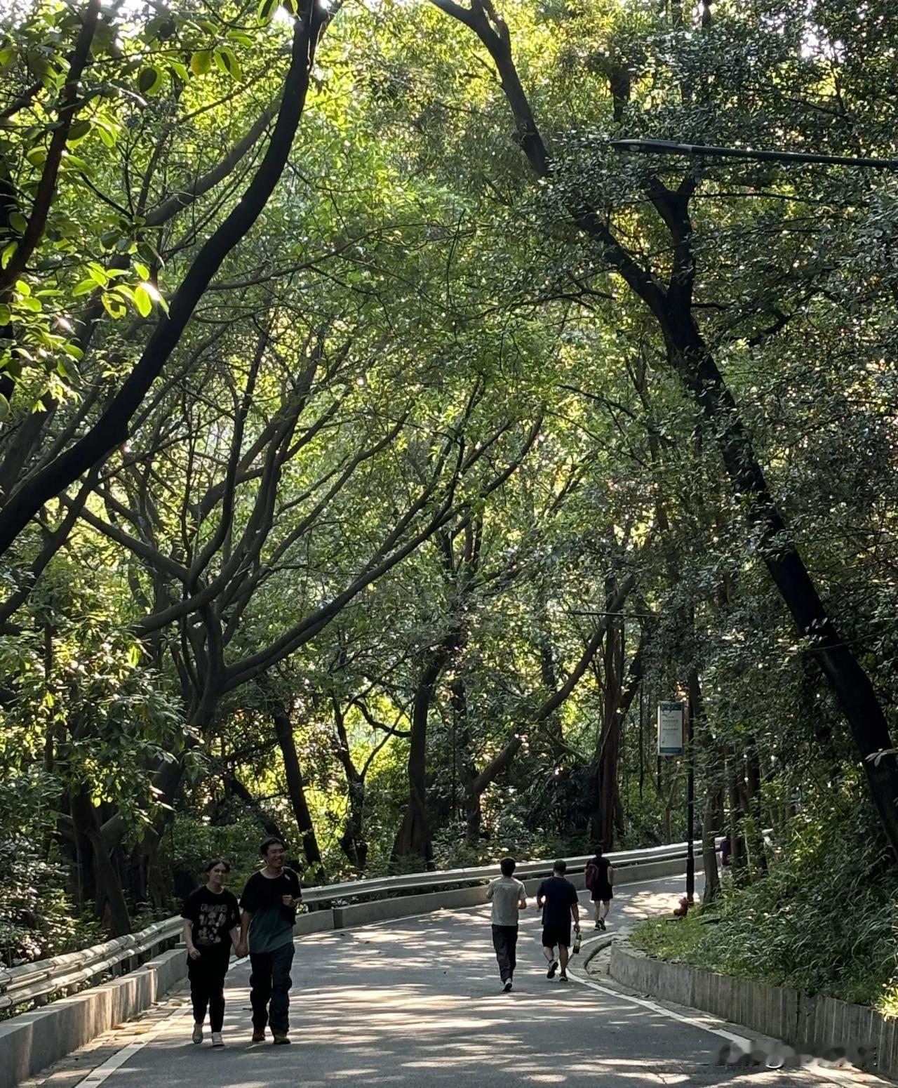 累，太累了……

时隔一年没爬山了，昨天和妹妹一起去爬山。

本来想着在家没事，