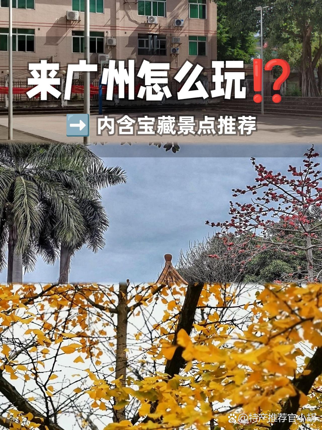 🌿小众秘境｜私藏级绿野仙踪

谁说城市里找不到山水秘境？这个被本地人私藏的宝藏