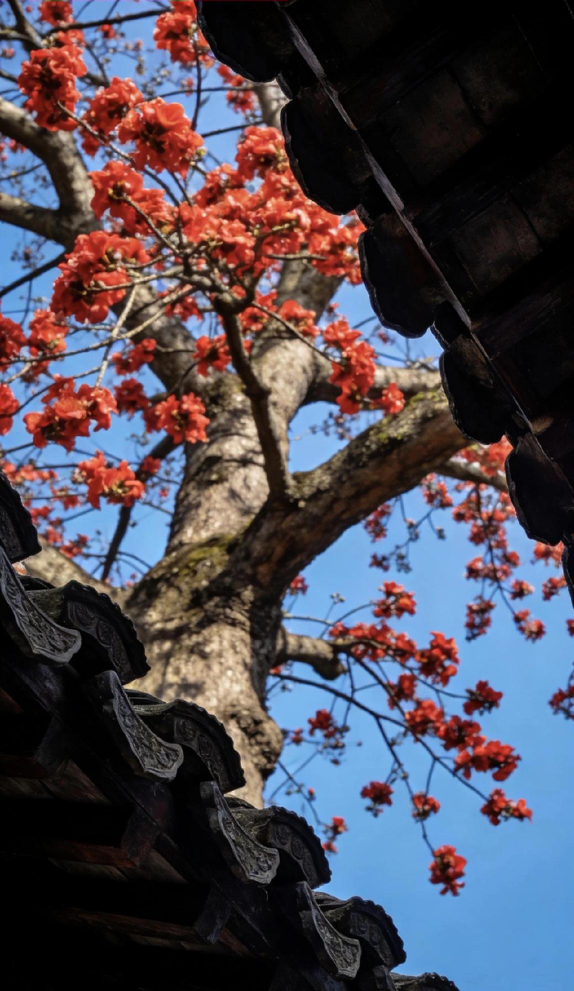 有人说，男人最难过的关，是心里那点想头。

这话有点道理。看看周围，多少事坏在念