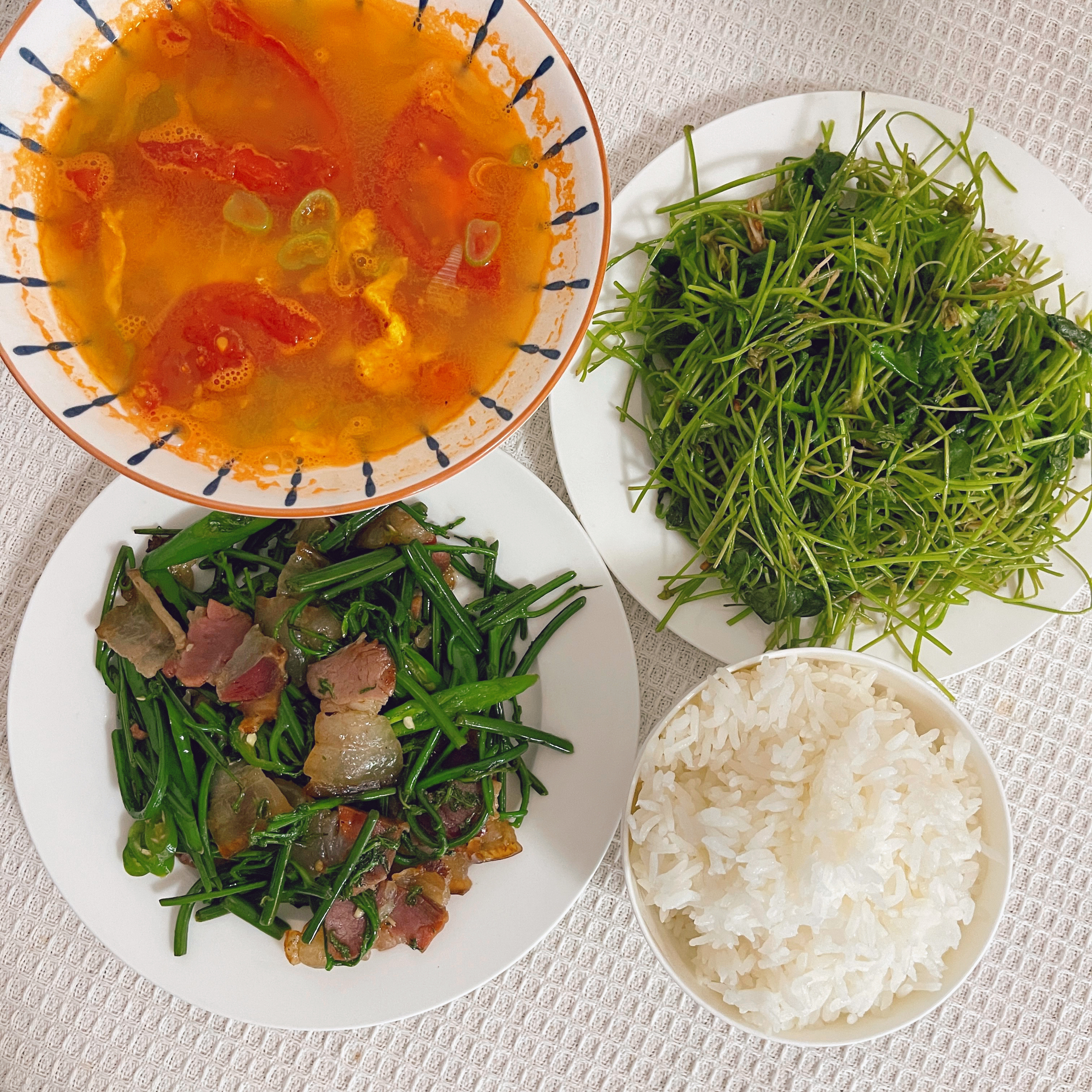 午餐五花腊肉炒水蕨菜 清炒积雪草番茄蛋汤 白米饭除了肉以外 最贵的就是这个积雪草
