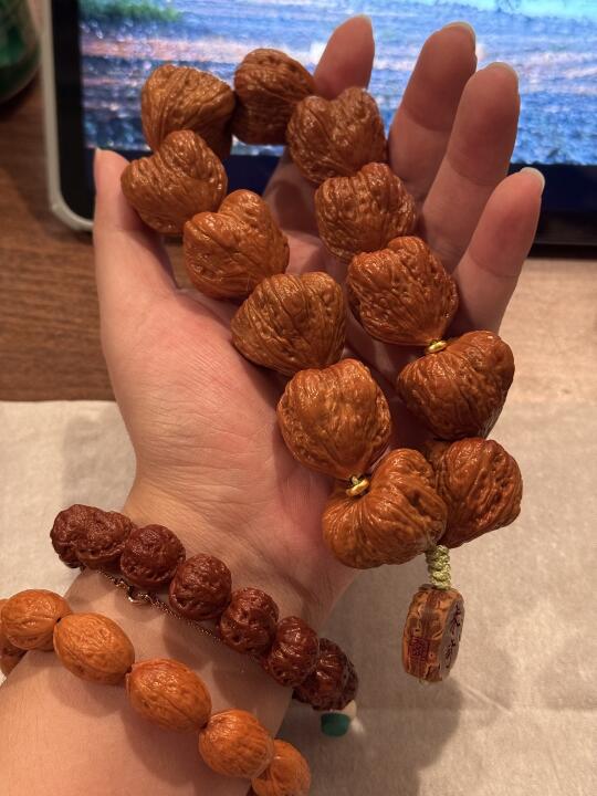 糖壳🍬核桃