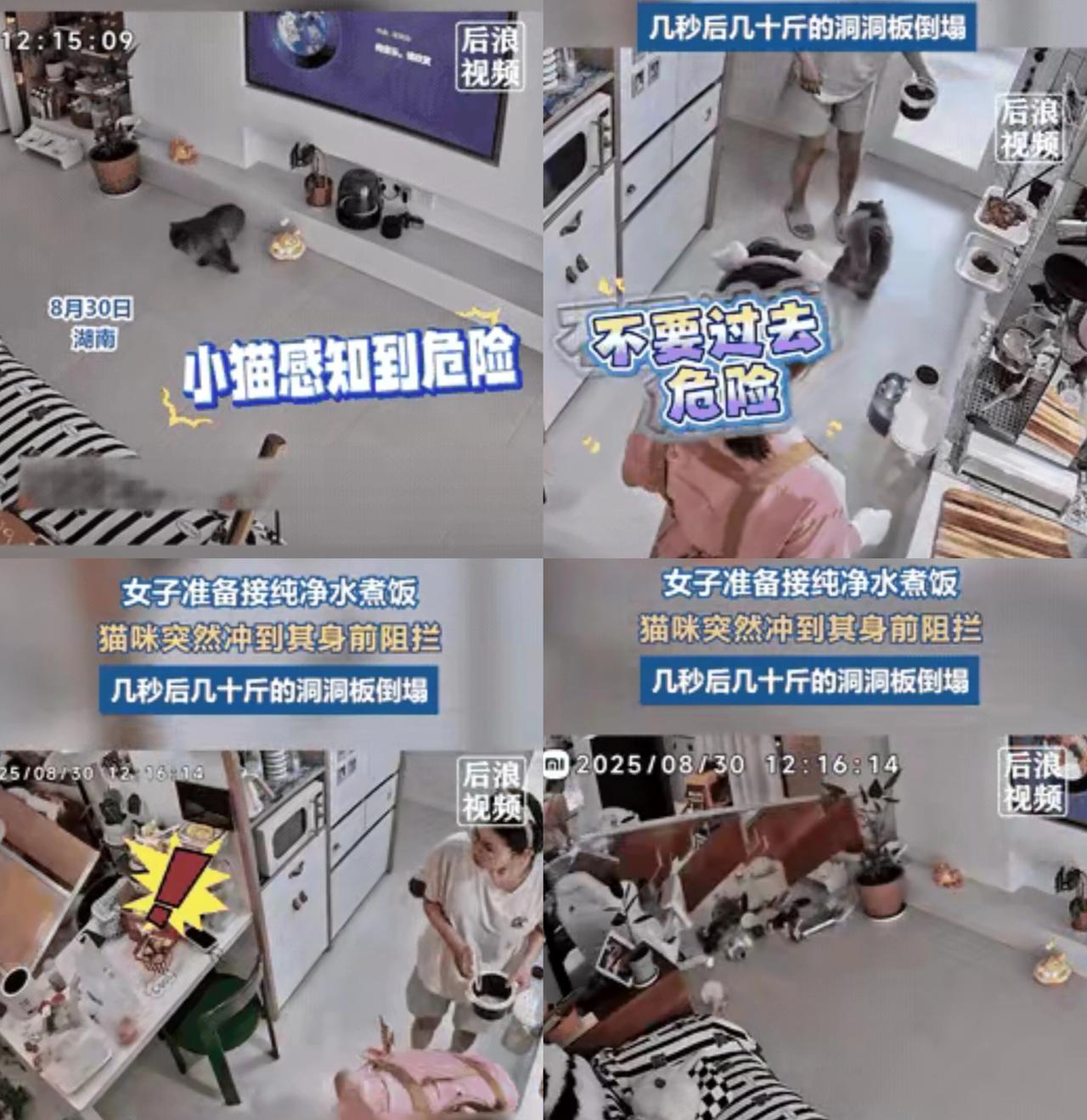 谁能想到，
一只平时只会黏人要抱抱的小猫咪，
居然能在关键时刻救下主人的命！
