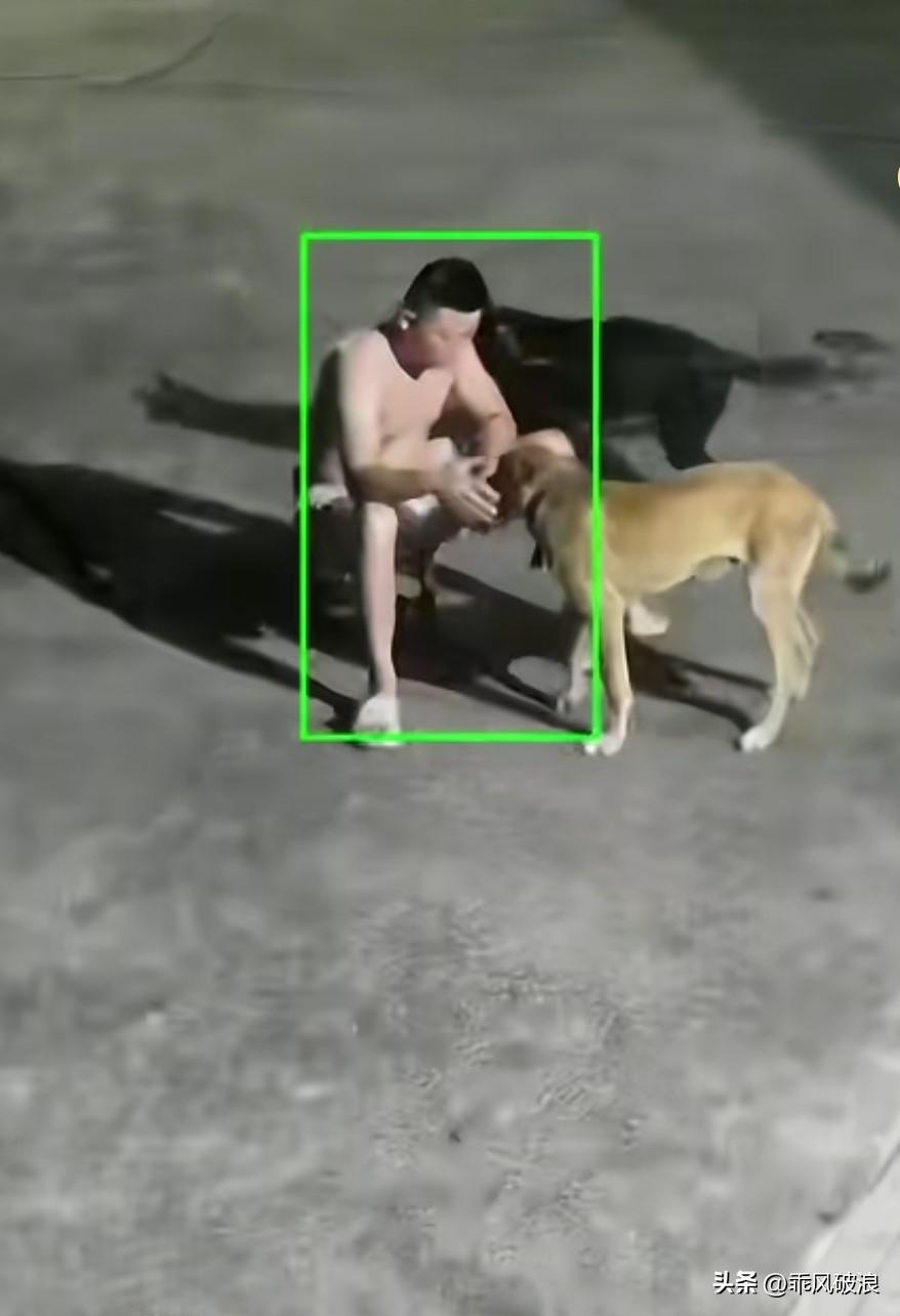 主人正在给狗狗喂零食，狗狗瞥见侧面有一位母亲带着孩子路过，突然撂下零食，扑向小孩