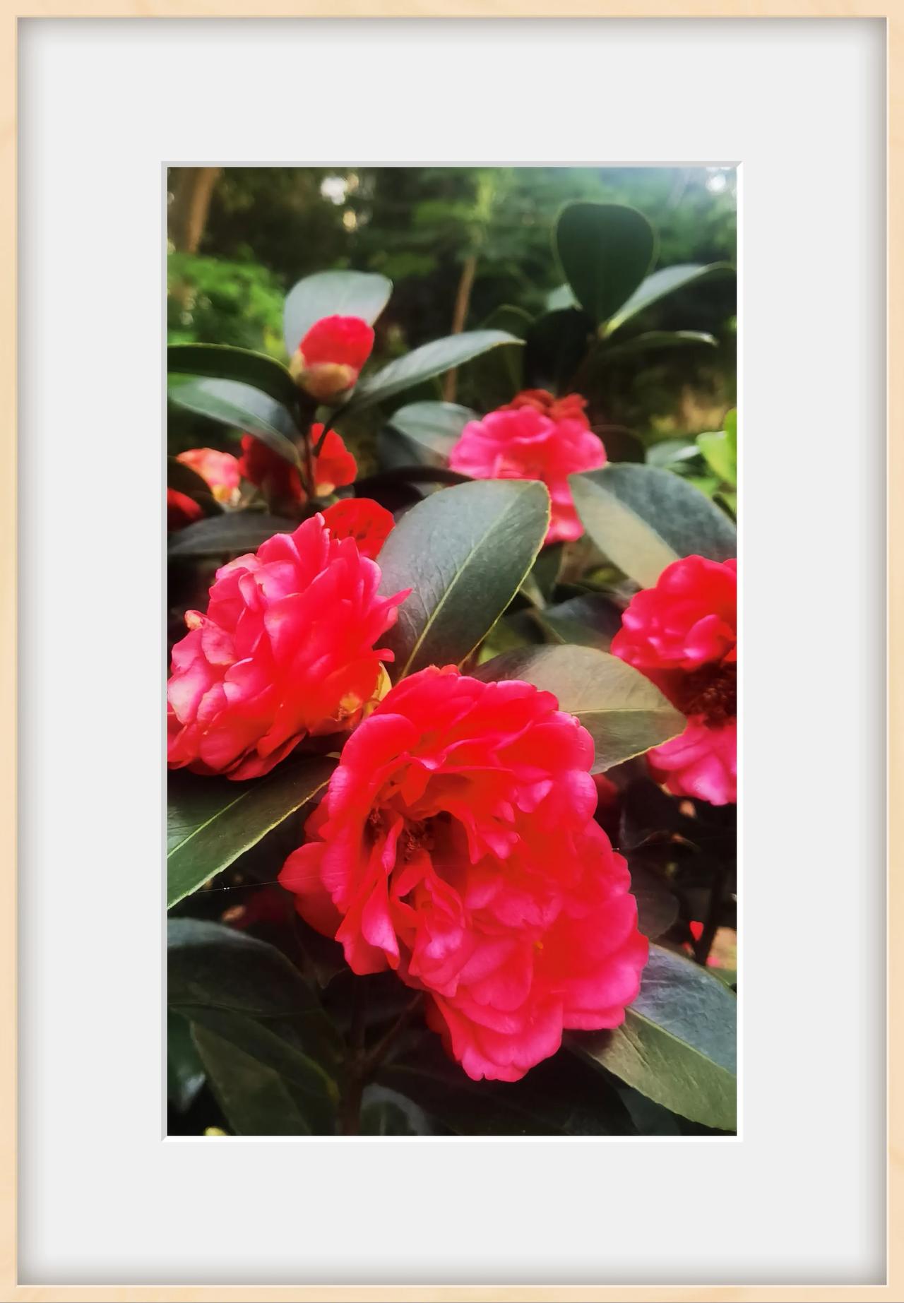 话说人世间有两样东西，是最好的灵丹妙药：一个是开心的笑容，一个是睡个饱觉。可是，