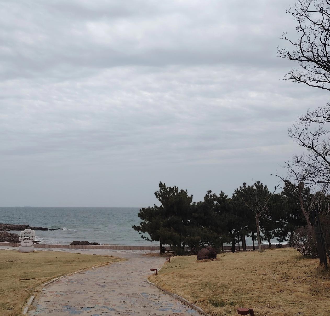 大风黄色预警！今明两天，青岛有小到中雨，下班早点回家！