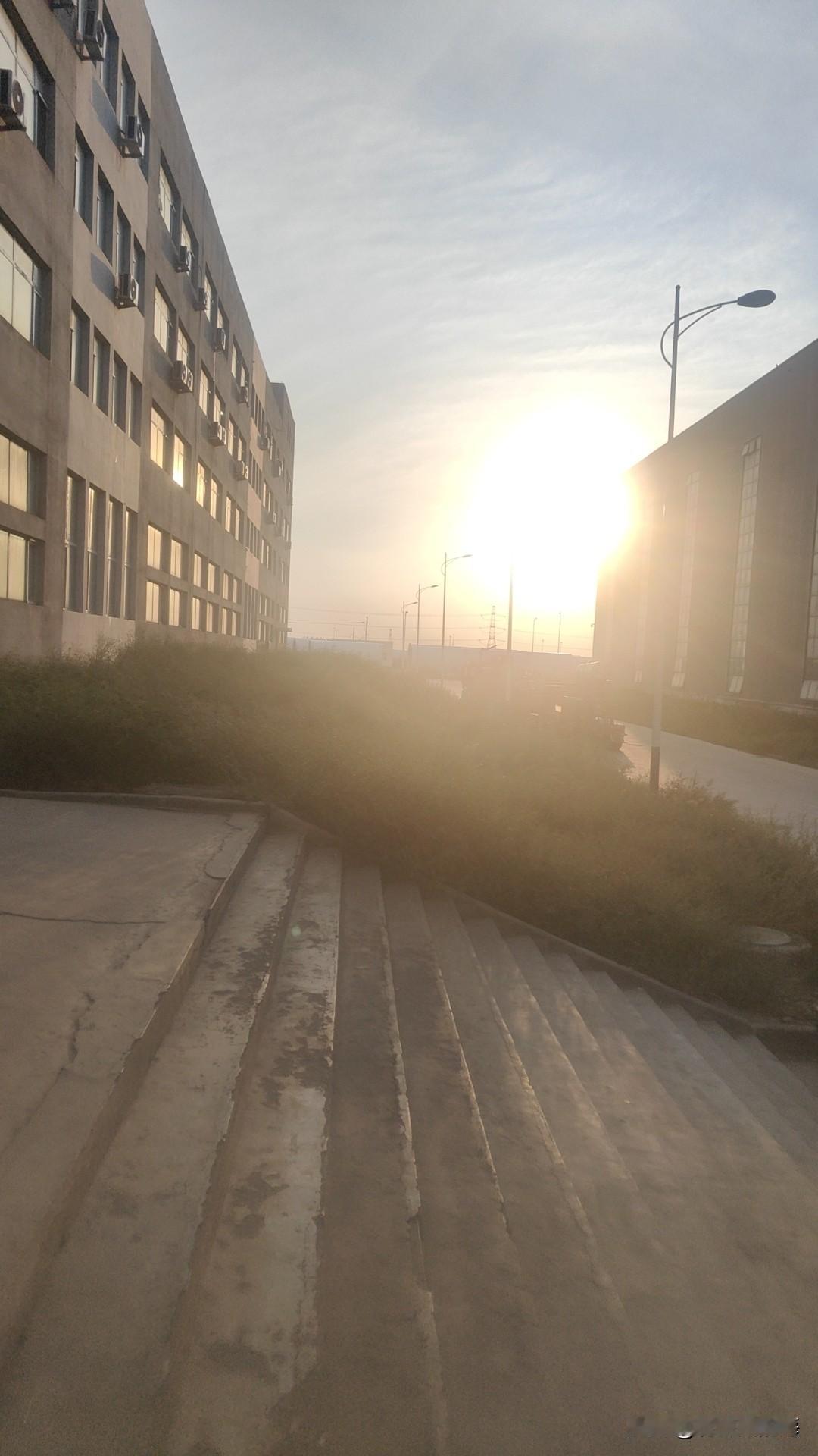 分享我这周有趣的事：昨天心血来潮，决定在家给自己做顿“米其林级别”的烛光晚餐，以