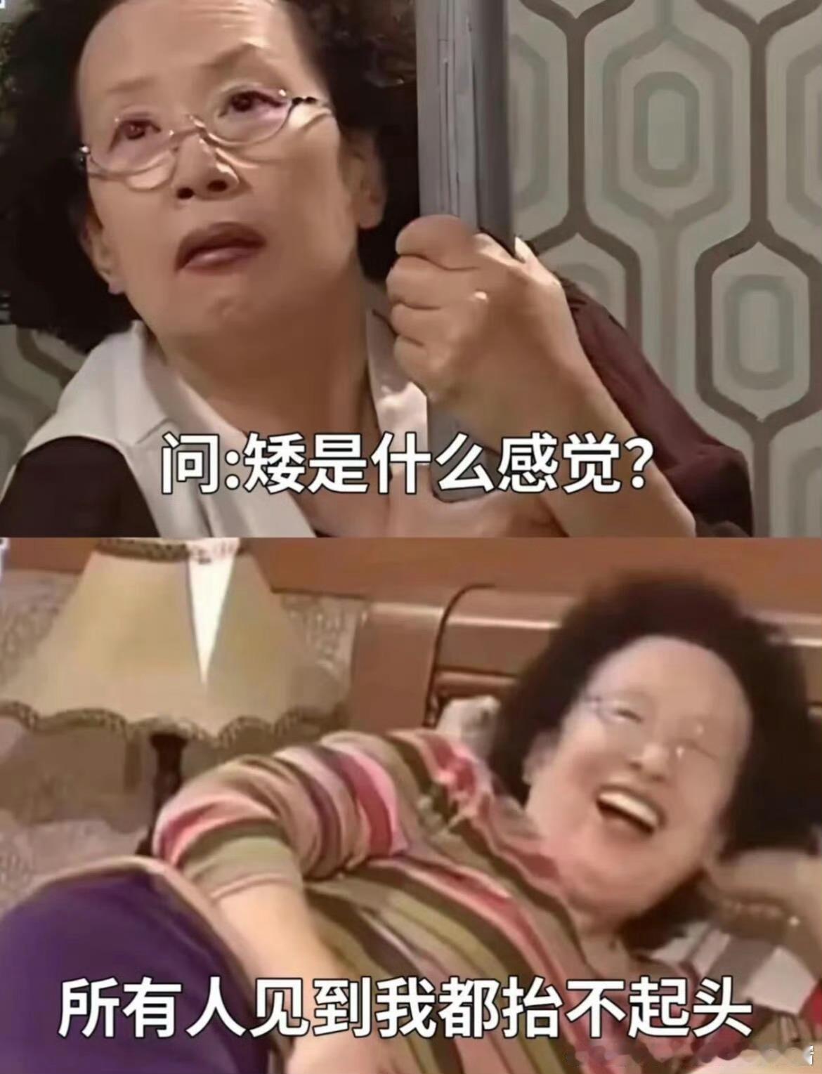 谁能懂个子矮的自卑敏感脱口秀和Ta的朋友们陈火腿现在在台上是那个“身高自信”的演