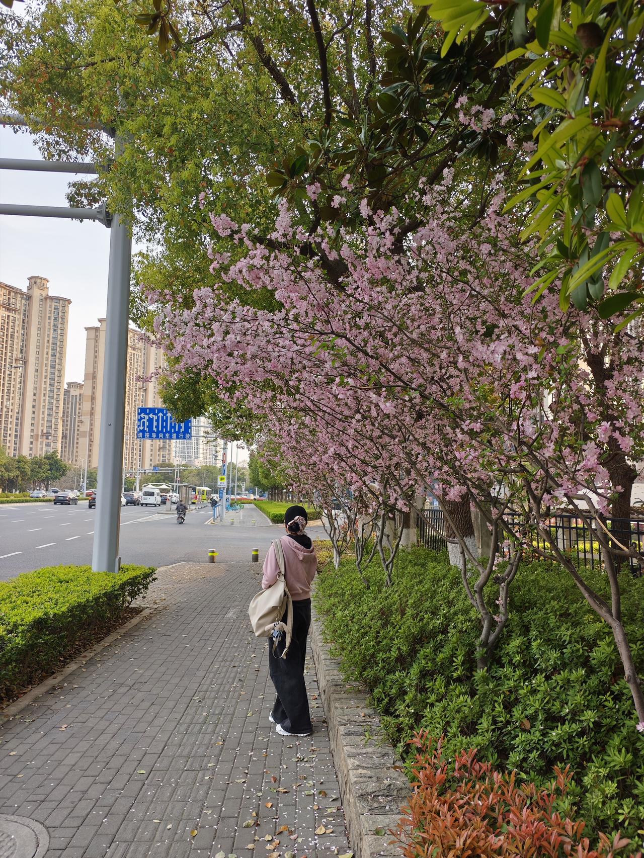 来到常州老家扫墓，心情有点复杂，往日的时光不断涌现出我的脑海，童年充满欢乐的记忆