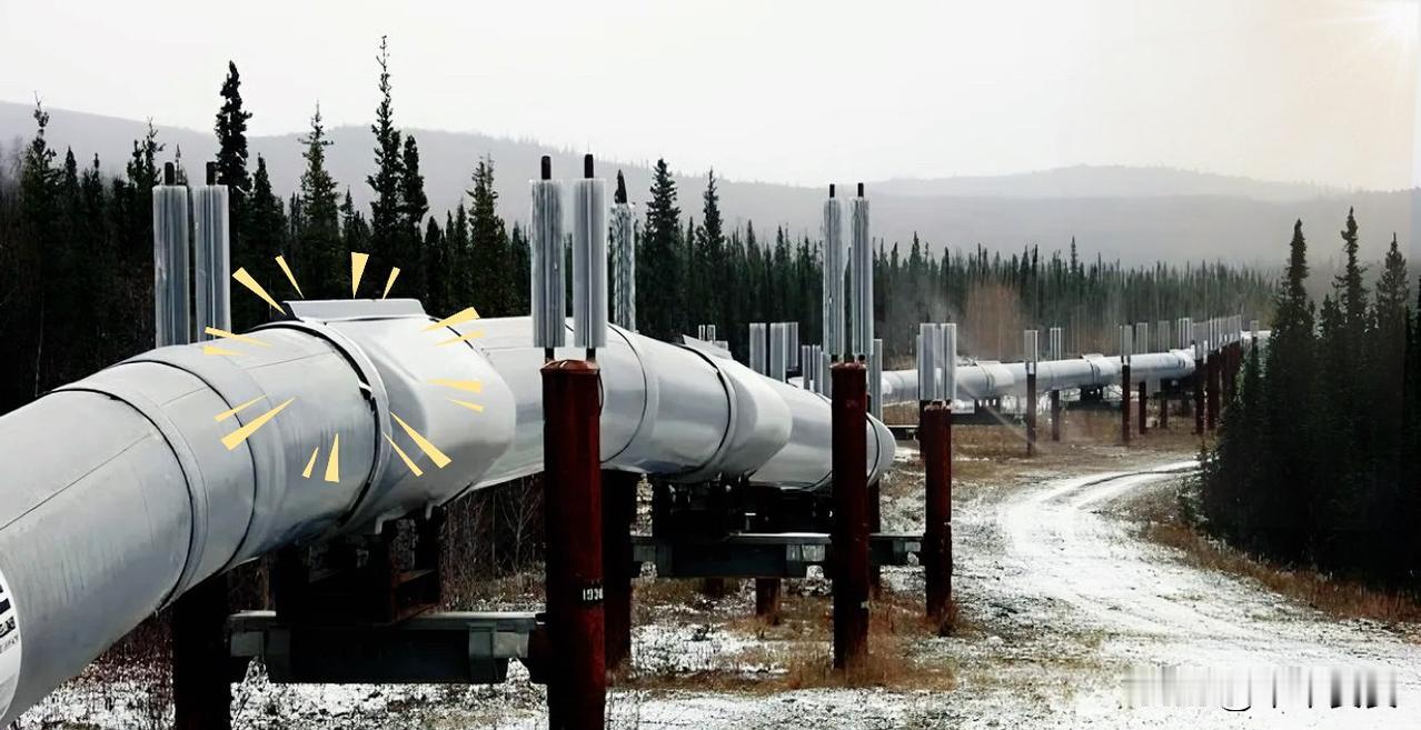 突发消息引爆国际能源市场！

2月18日，匈牙利和斯洛伐克同时宣布，暂停对乌克兰