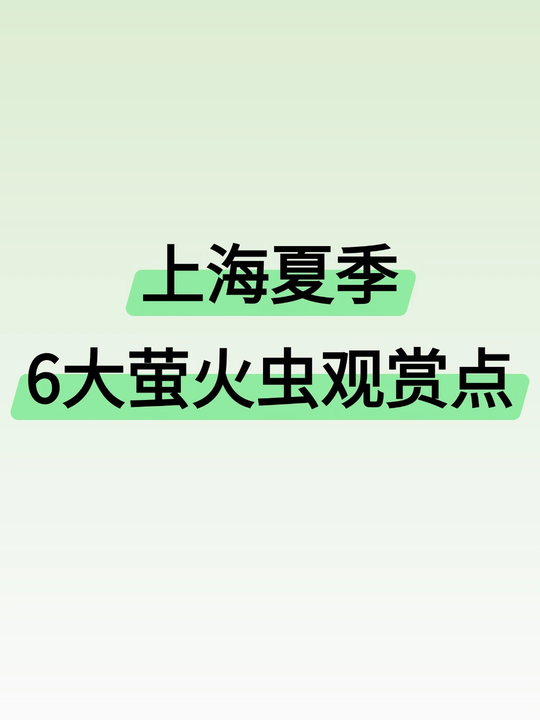 上海夏季6大萤火虫观赏点
