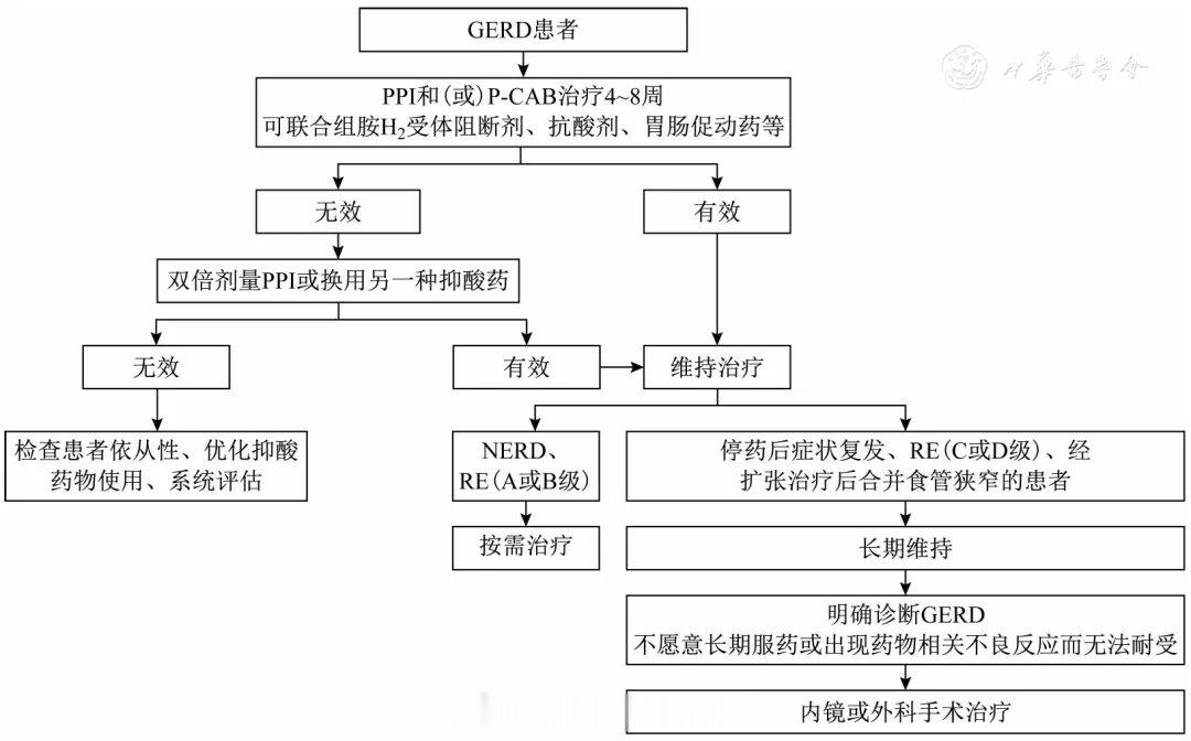 胃食管反流病又简称GERD，调整生活方式是GERD的基础治疗手段，GERD患者的