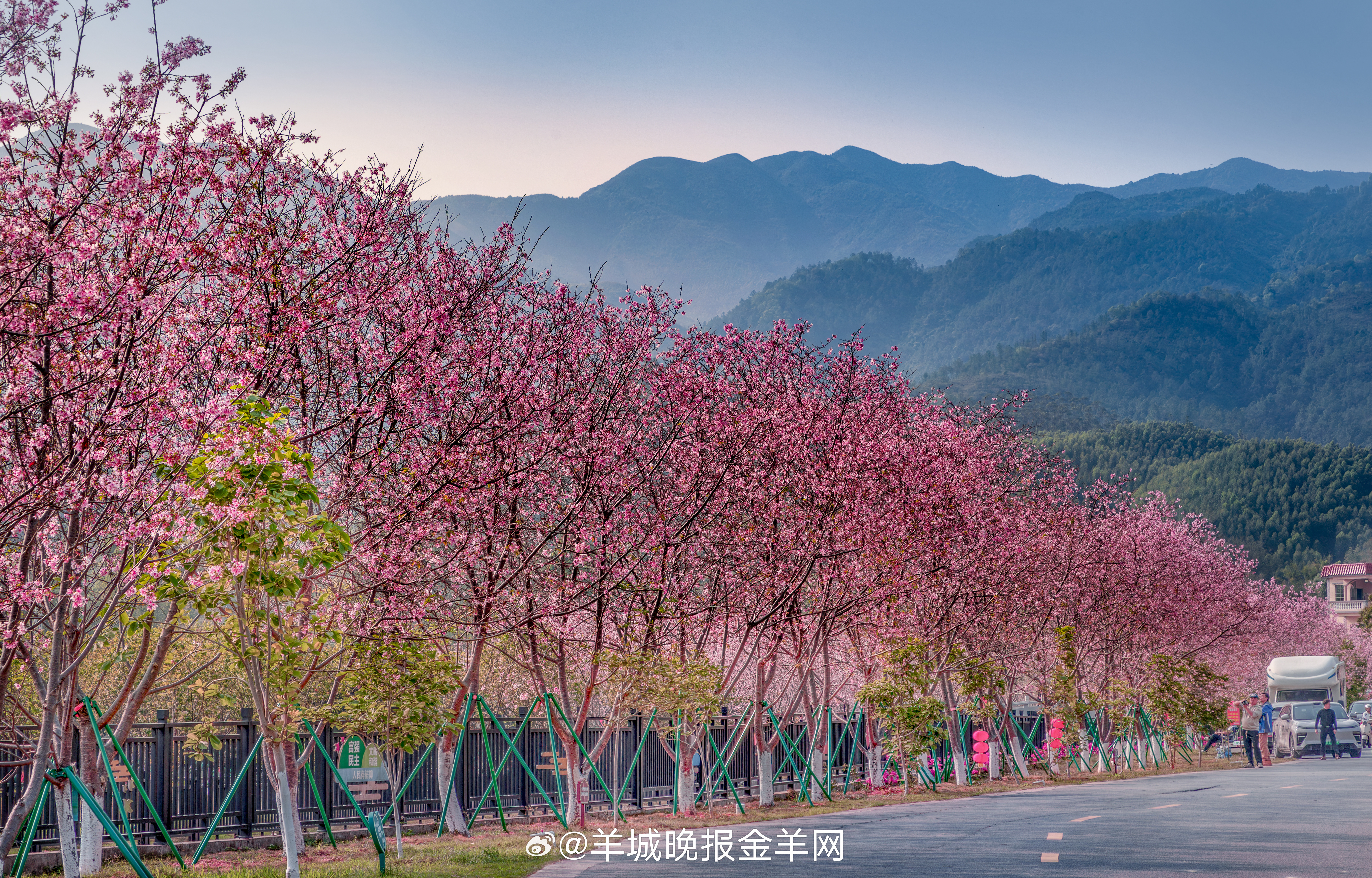 晚安 周六的夜晚不用惦记早起，把手机扔一边，裹着软被子，怎么舒服怎么来。晚安啦，