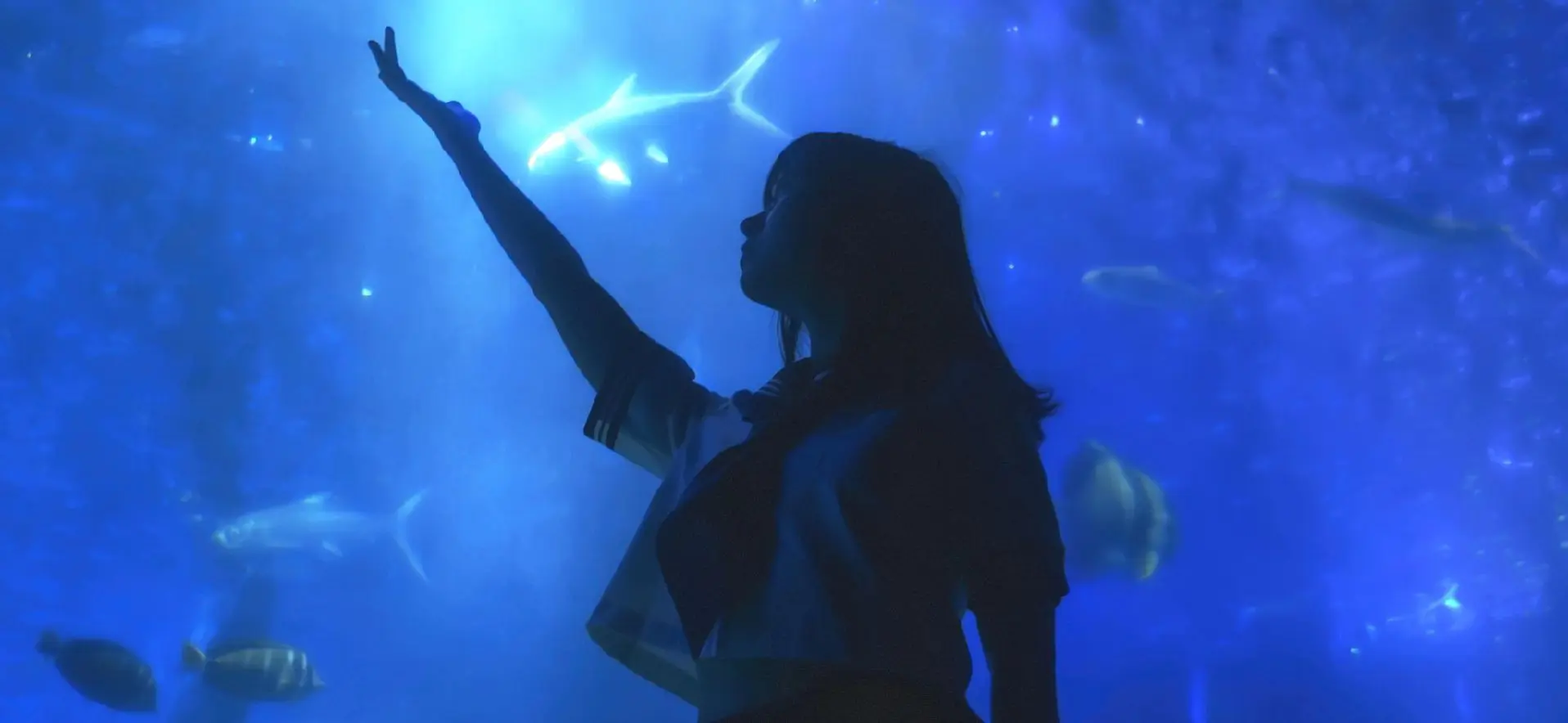 那些愚钝而又青涩的瞬间。场地提供