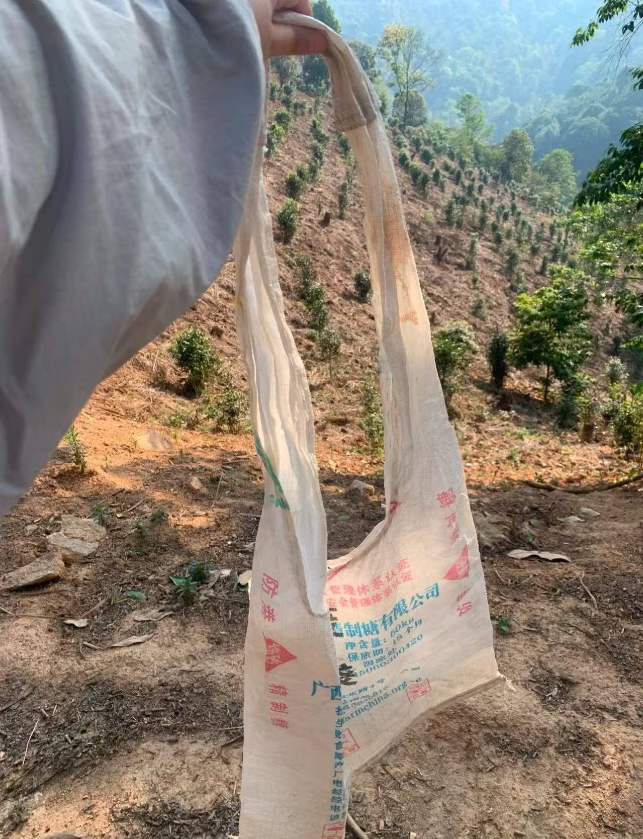 云南避暑的年轻人出行现状 爬山时把外套脱了嫌累赘，下山就后悔，跟捡垃圾的阿姨石头