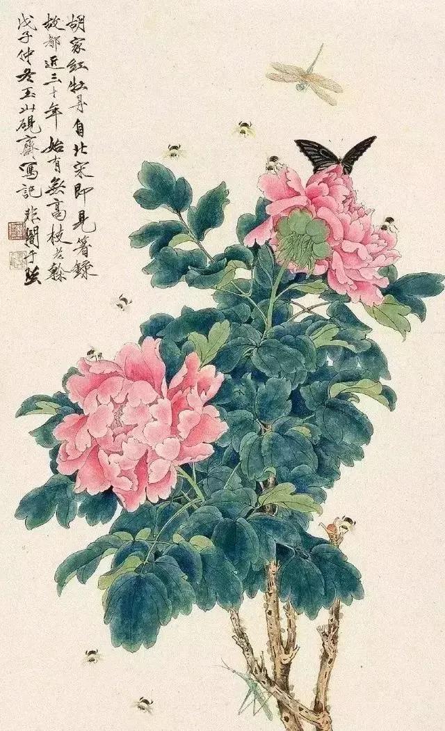 极品花卉，越看越醉！