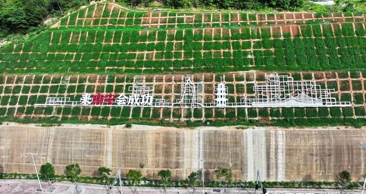 绿意铺展沿路生辉！南安外二环边坡改造初见成效