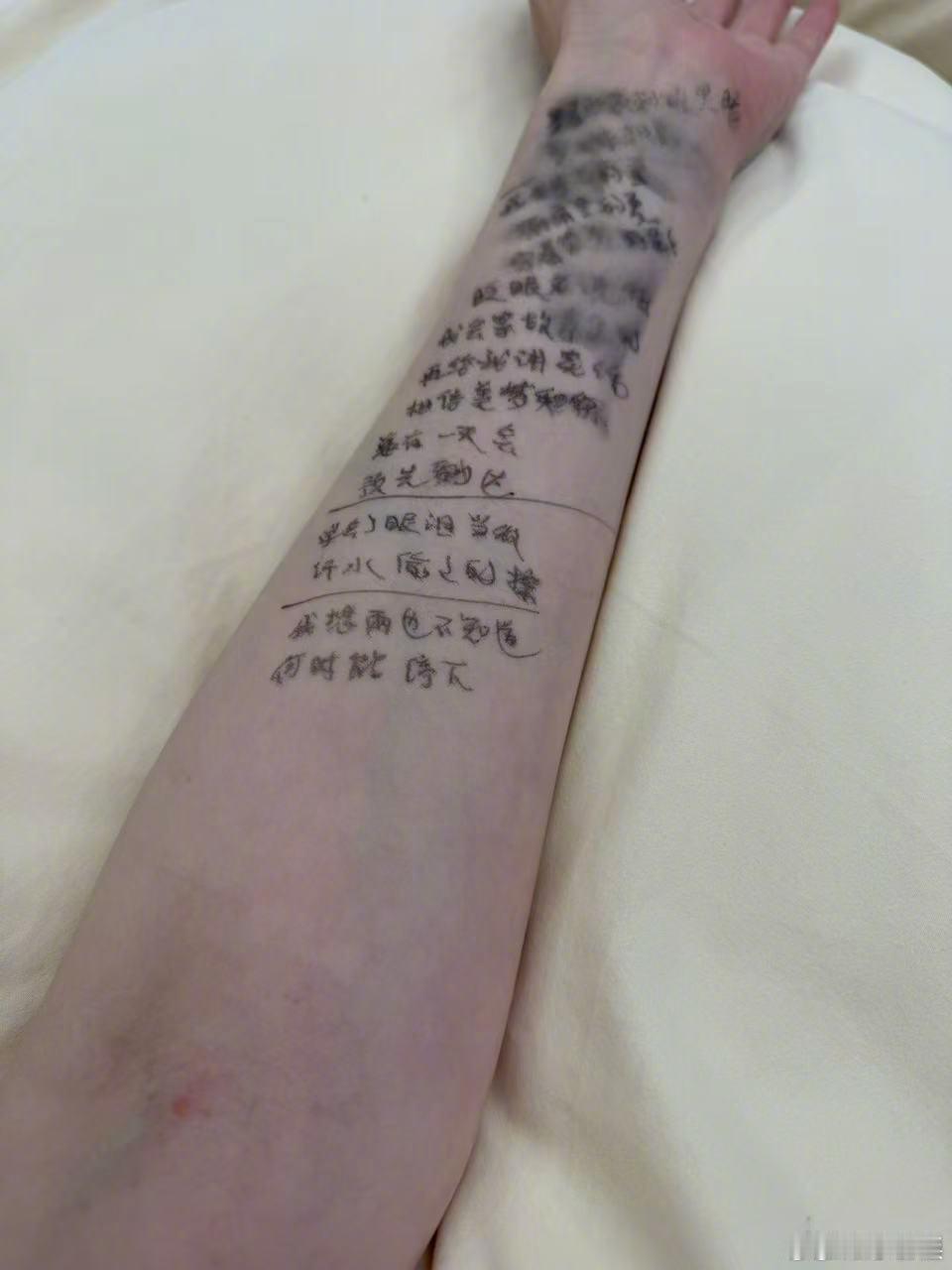 李小冉我的胳膊你忍忍李小冉记歌词是认真的 在记歌词这块我们李小冉真的是认真的 记