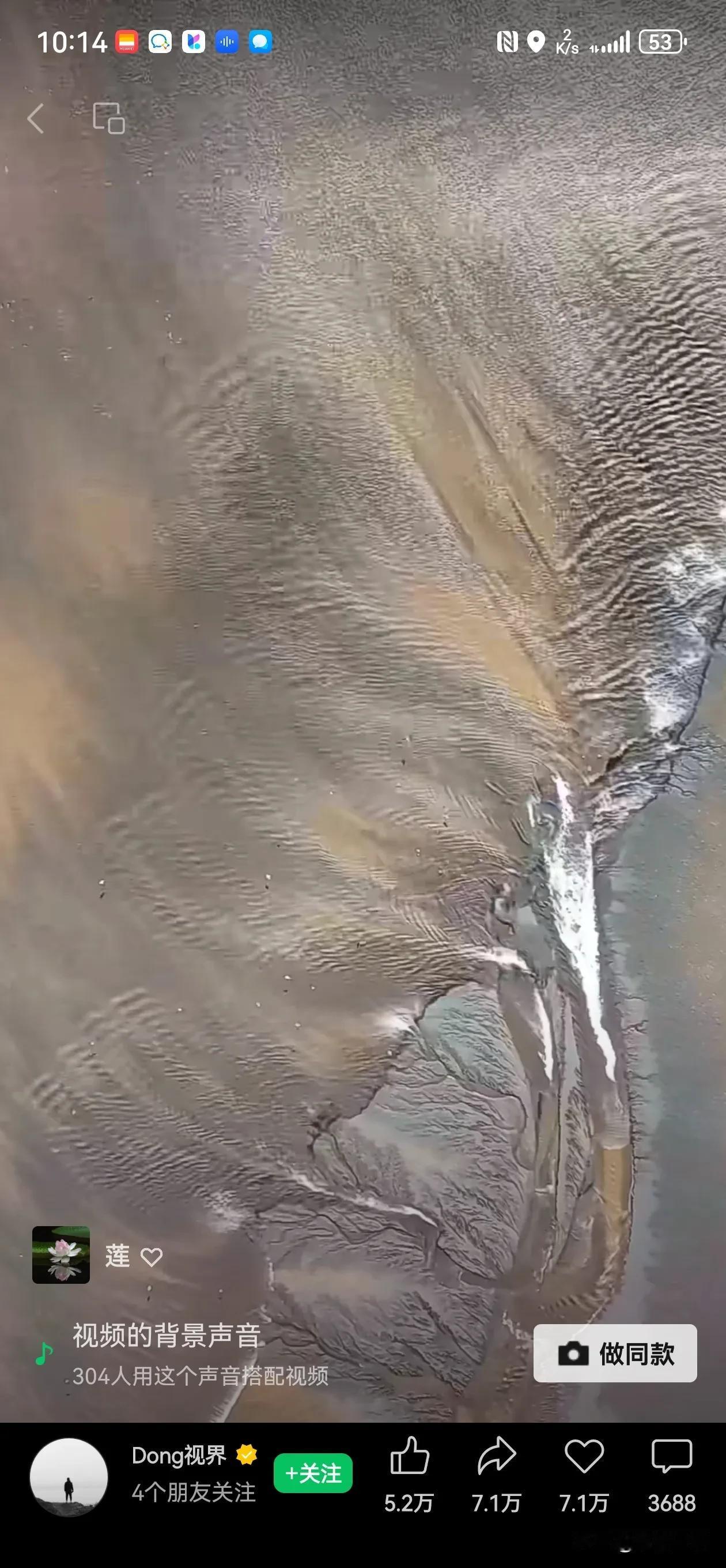 何以为树?通过一棵#完美的树# 树，窥探宇宙能量频率和秘密。