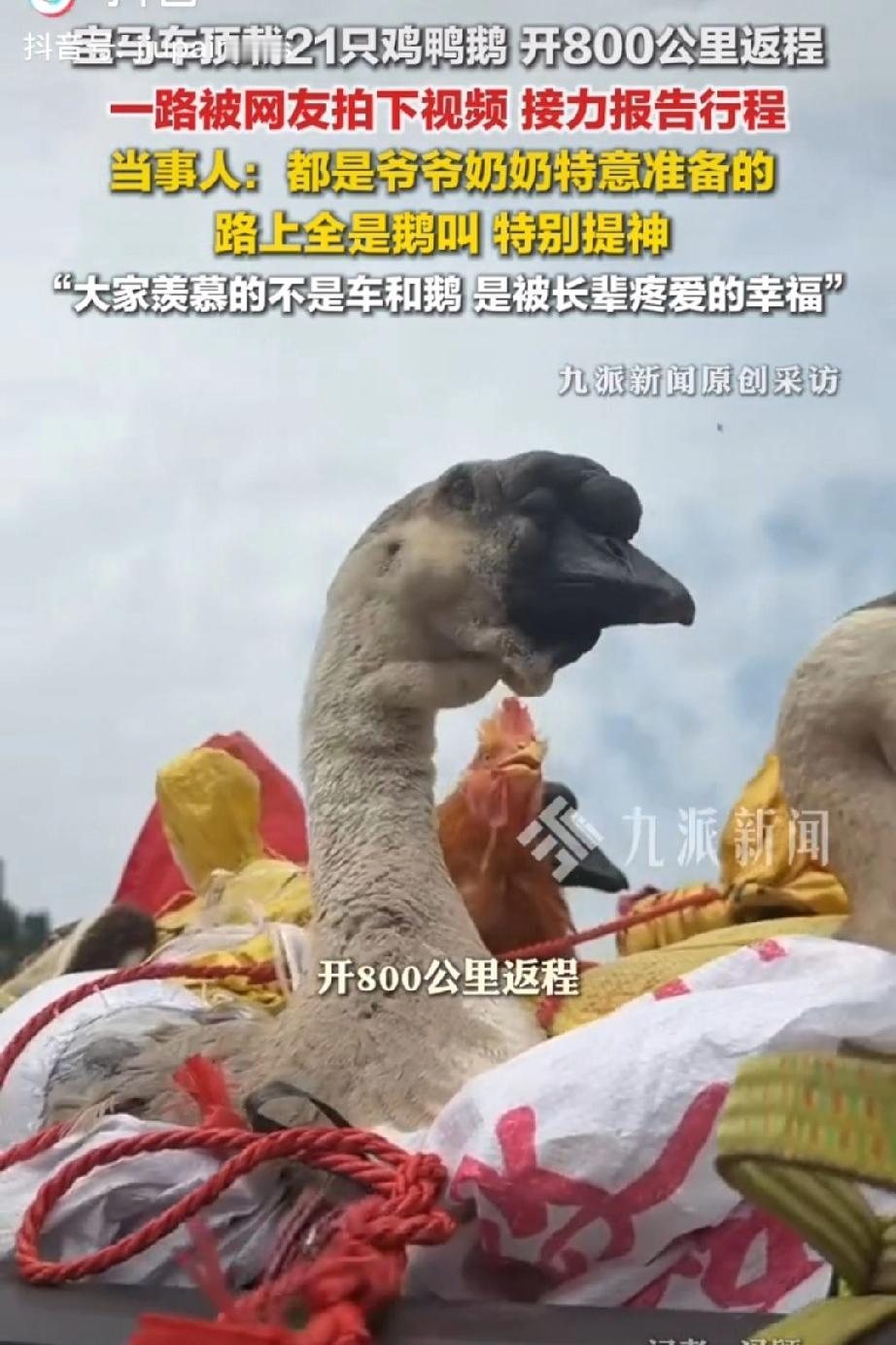 不仅是车内的爱满满的，连车顶的爱都是满满的。

2月23日，广西玉林至广东河源的